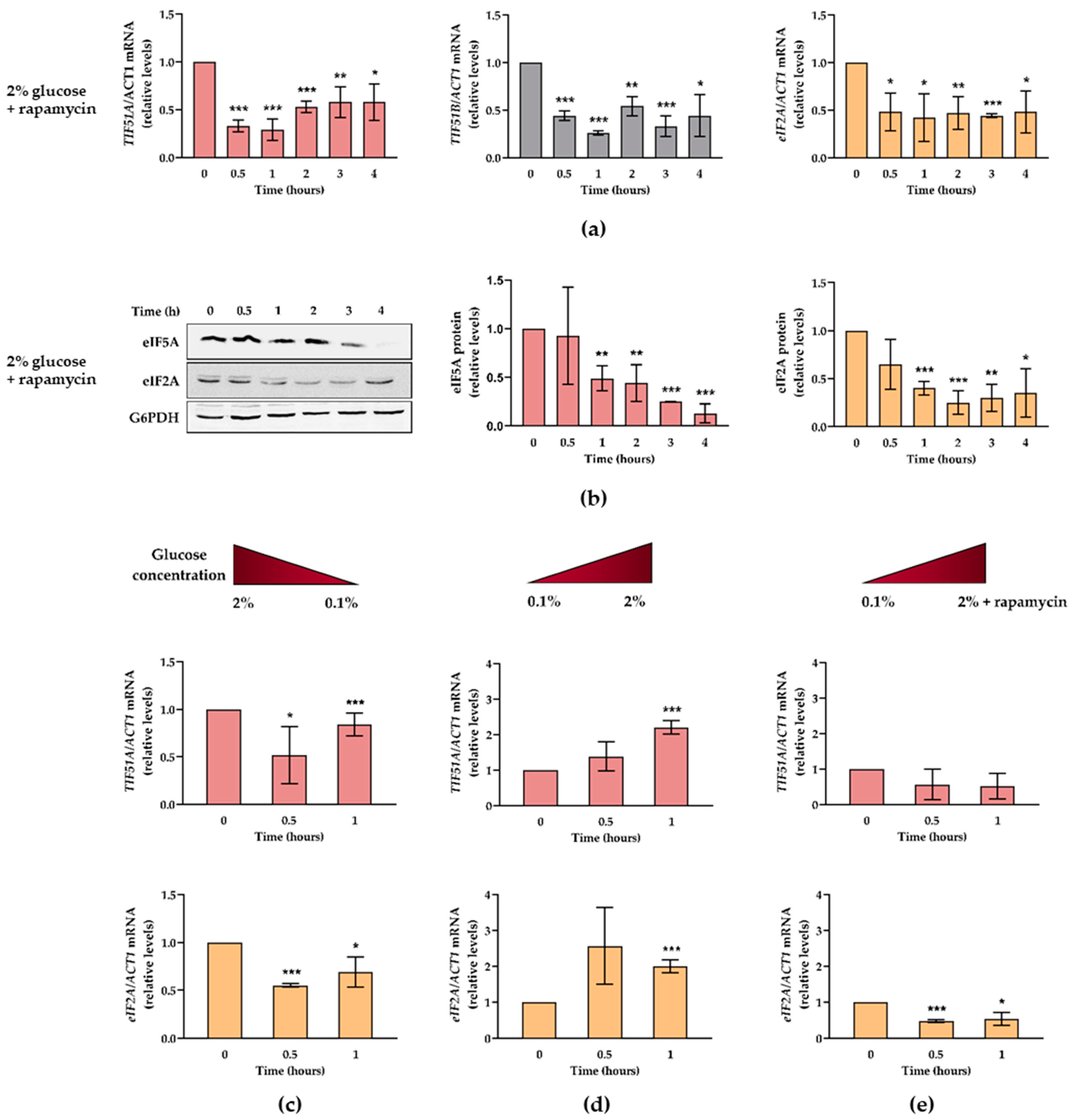 Ijms 22 00219 g004 Ijms 22 00219 g004