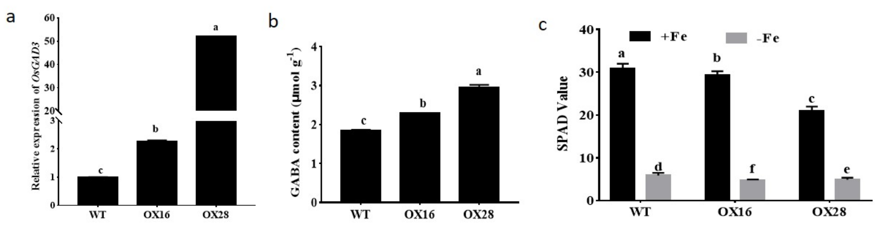 Ijms 22 00220 g002 Ijms 22 00220 g002