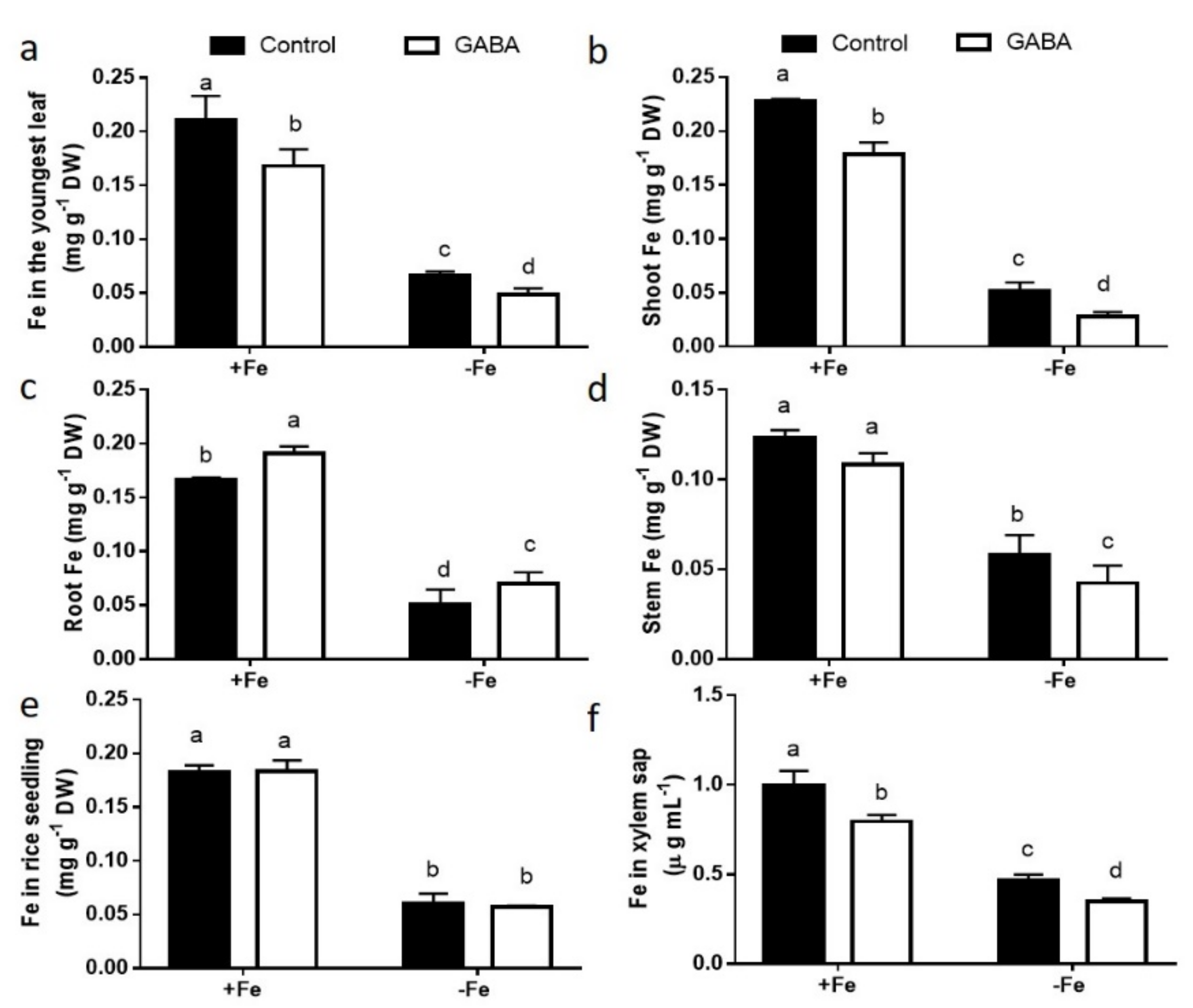 Ijms 22 00220 g003 Ijms 22 00220 g003