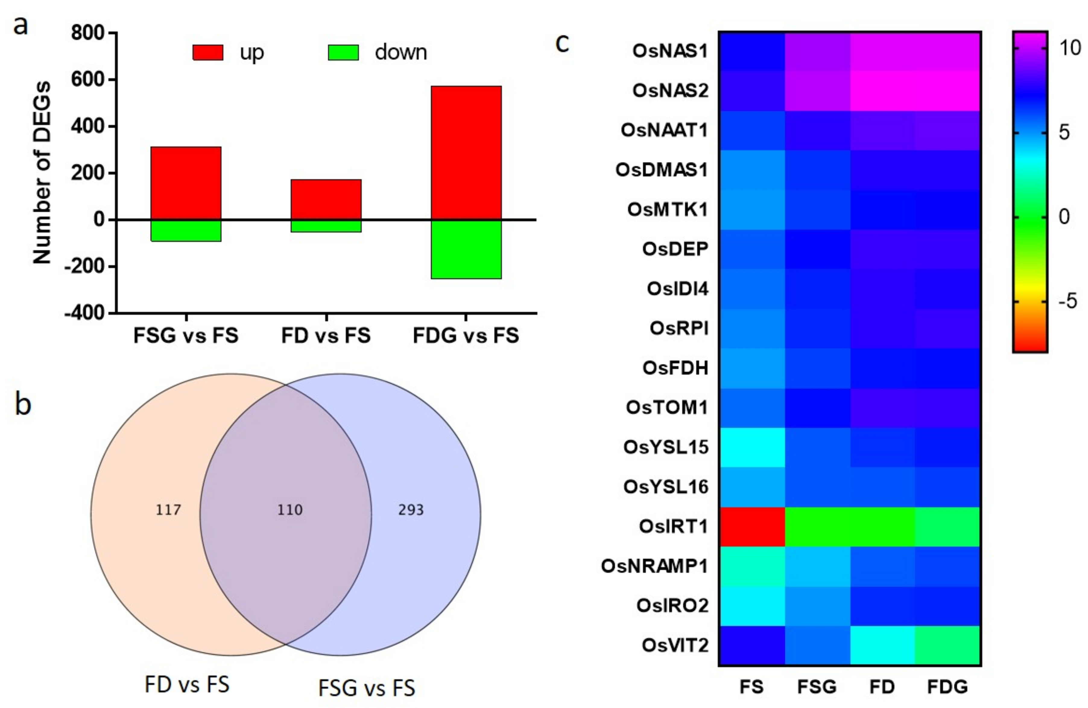 Ijms 22 00220 g006 Ijms 22 00220 g006