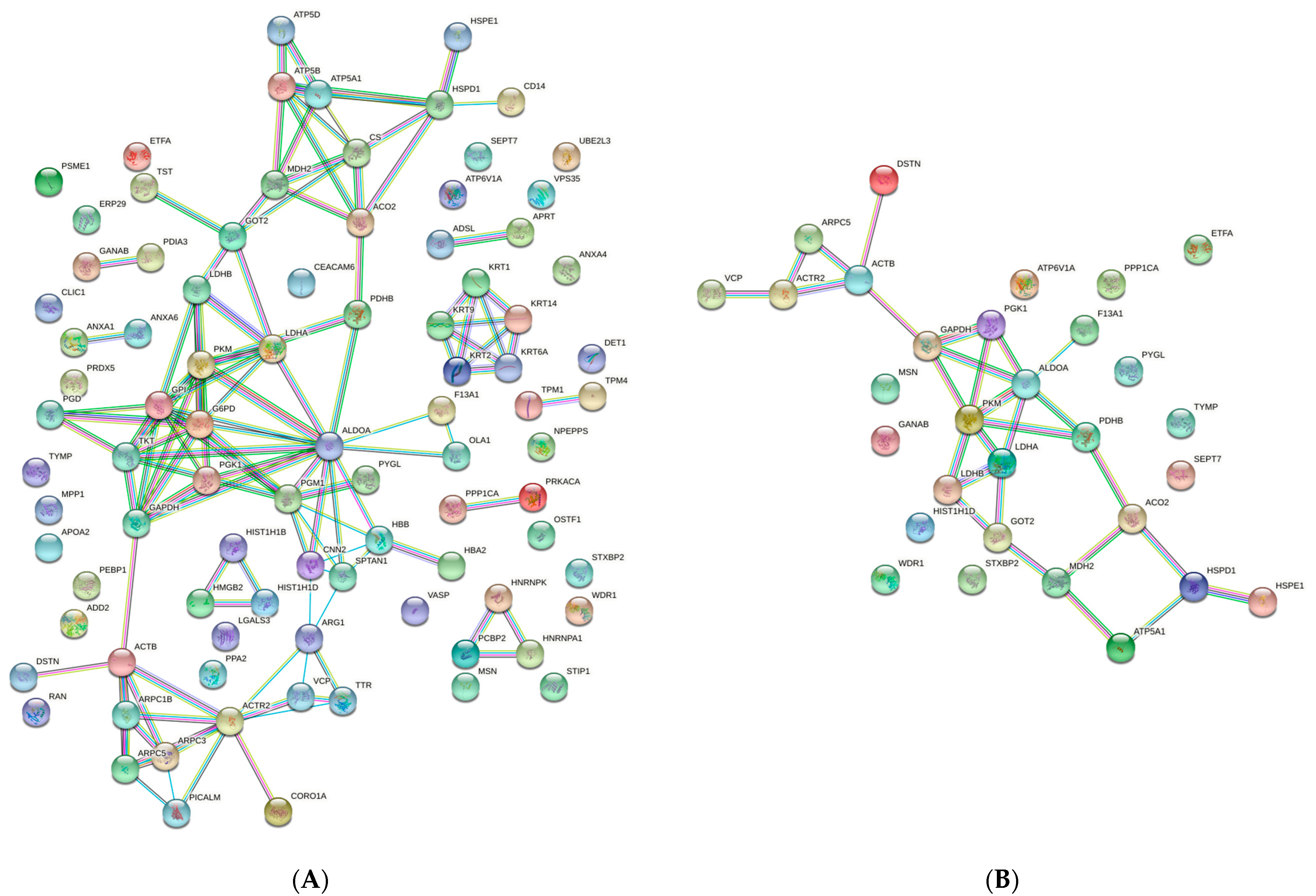 Ijms 22 00226 g004 Ijms 22 00226 g004
