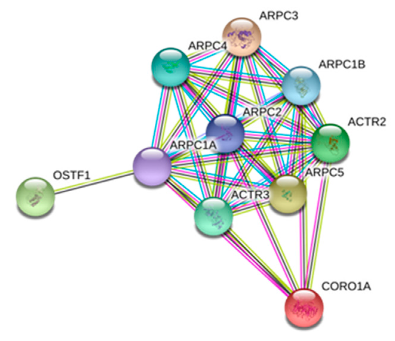 Ijms 22 00226 g005 Ijms 22 00226 g005