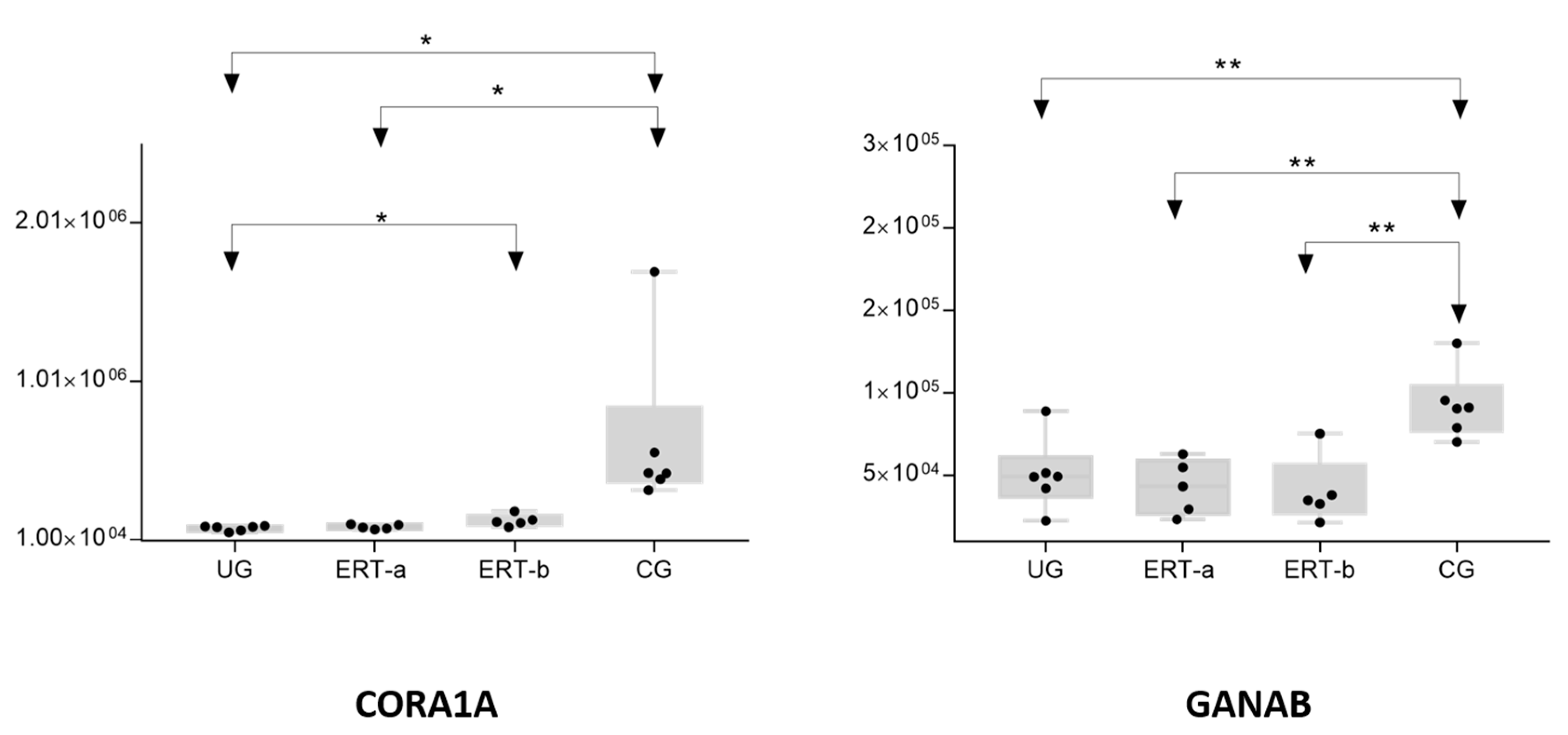 Ijms 22 00226 g006 Ijms 22 00226 g006