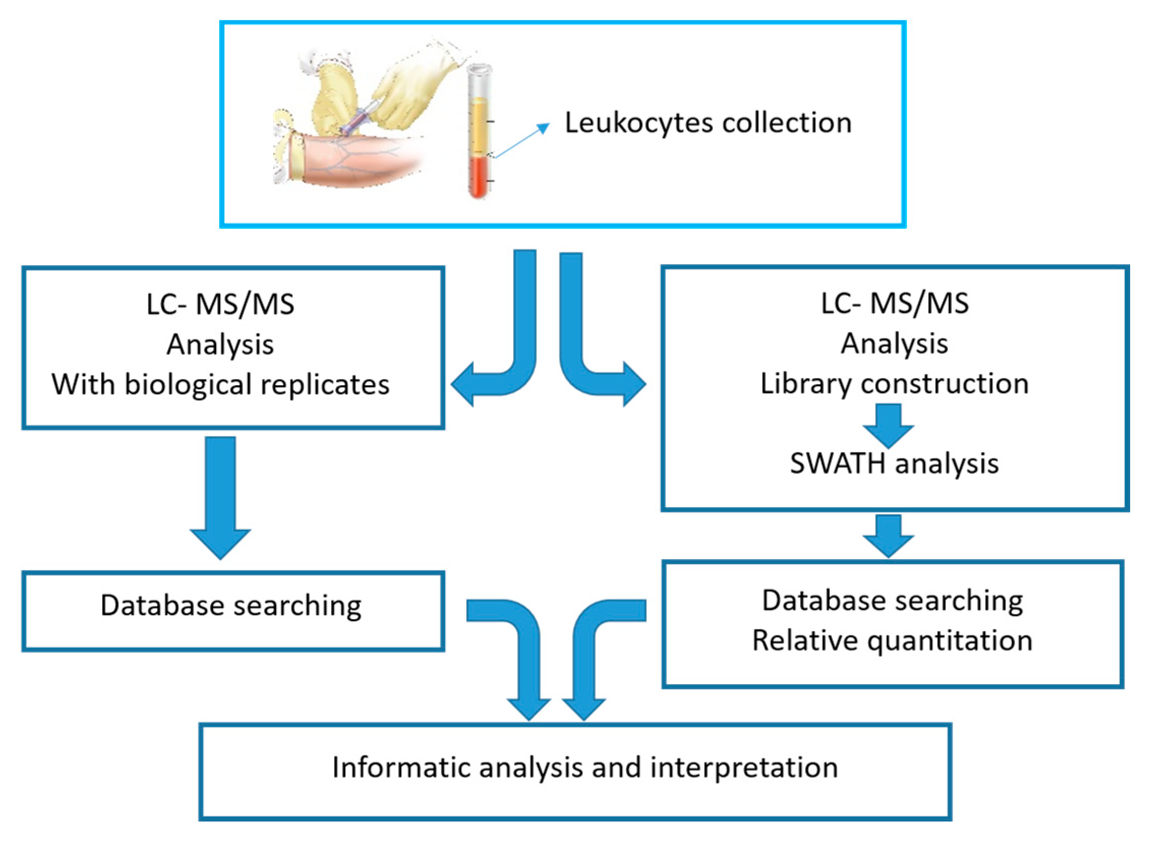 Ijms 22 00226 g009 Ijms 22 00226 g009