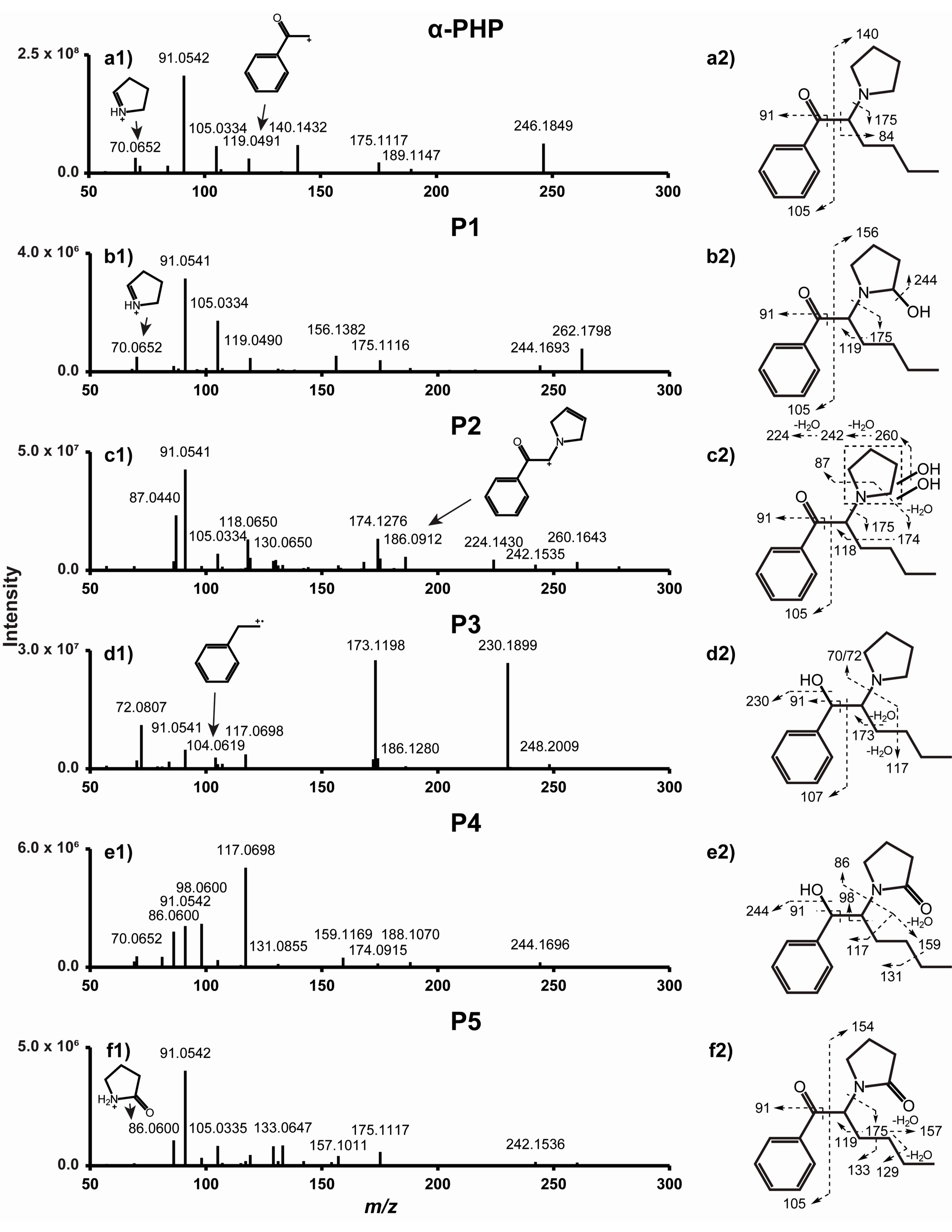 Ijms 22 00230 g002 Ijms 22 00230 g002