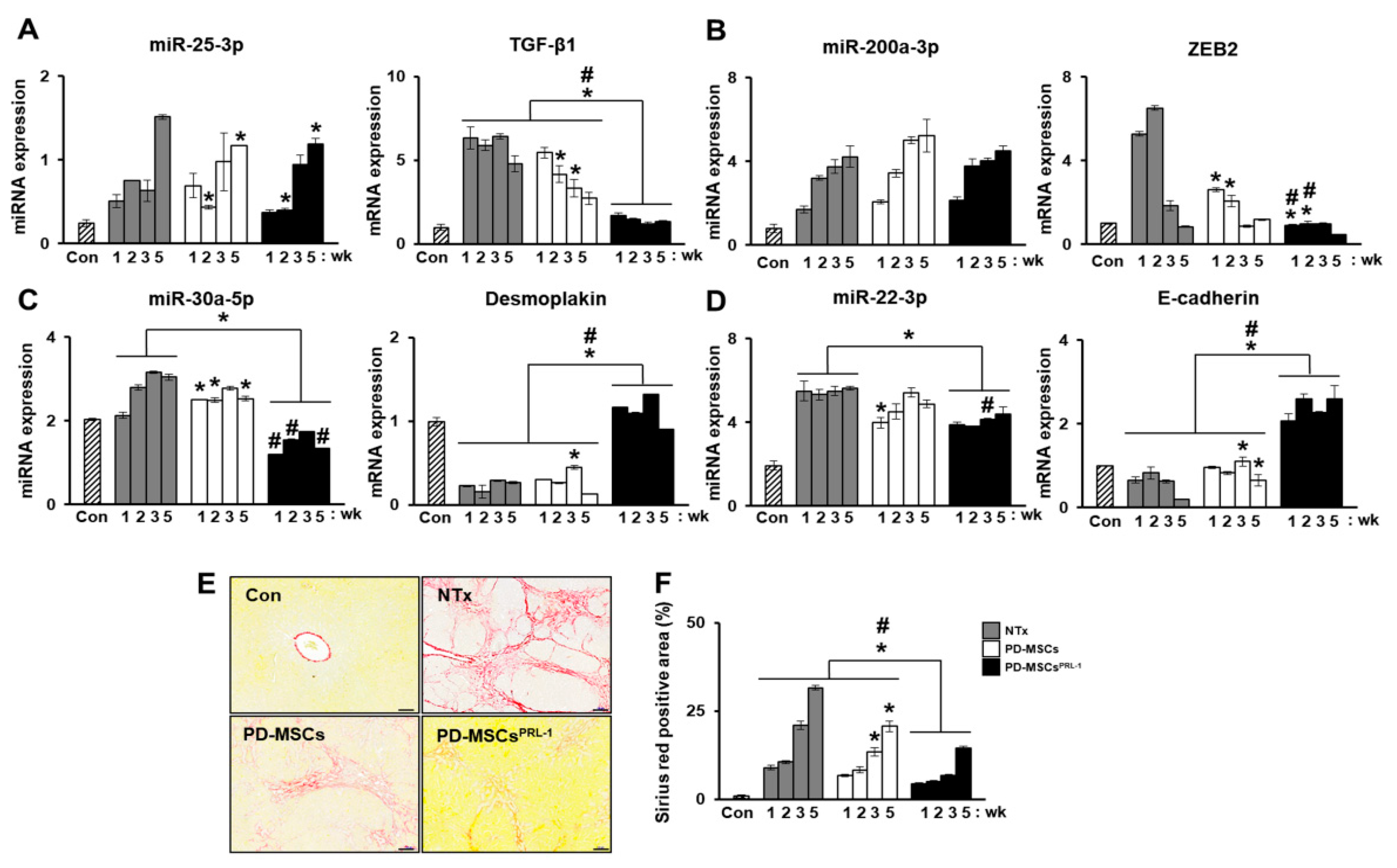 Ijms 22 00239 g005 Ijms 22 00239 g005