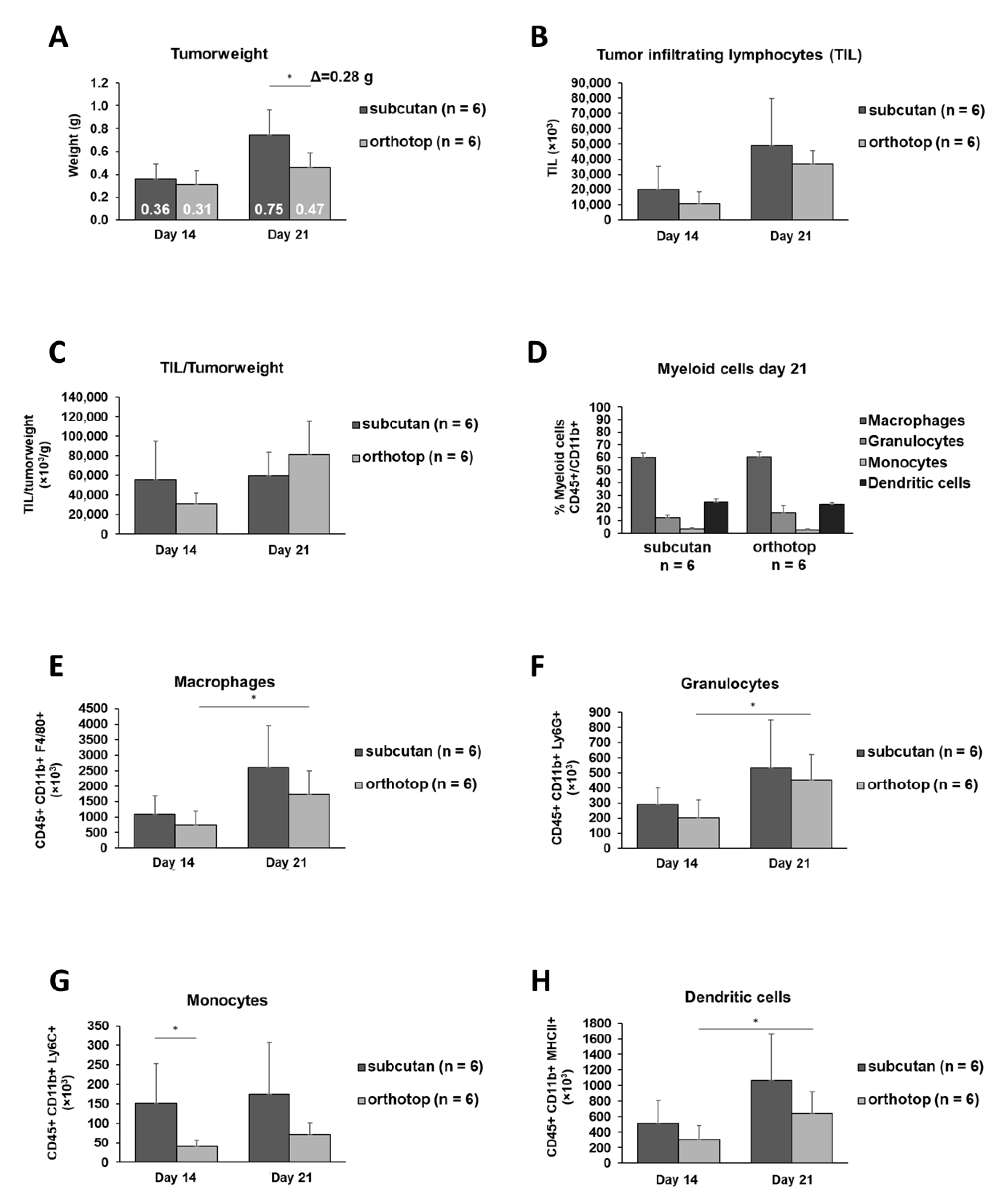 Ijms 22 00247 g002 Ijms 22 00247 g002