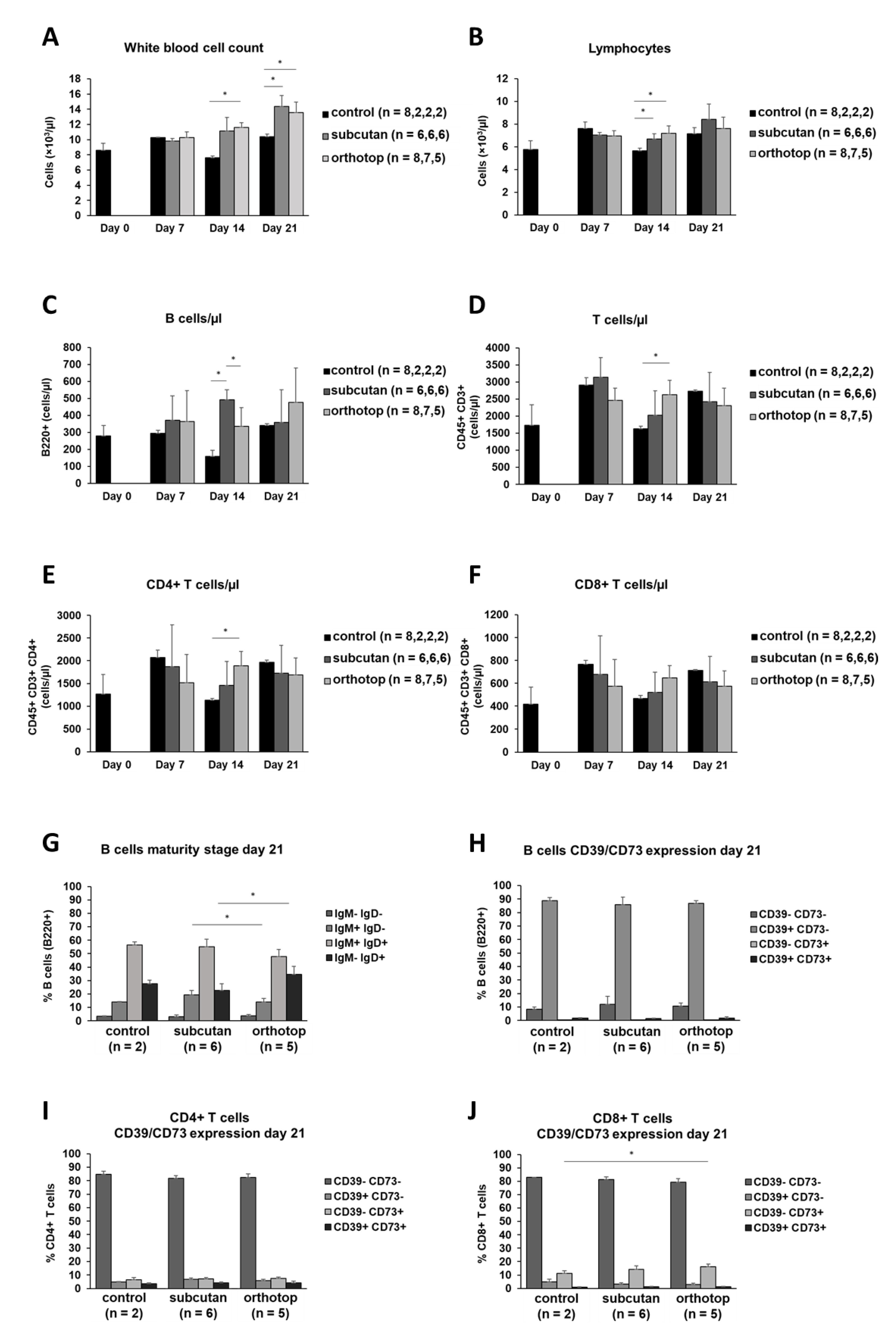 Ijms 22 00247 g005 Ijms 22 00247 g005