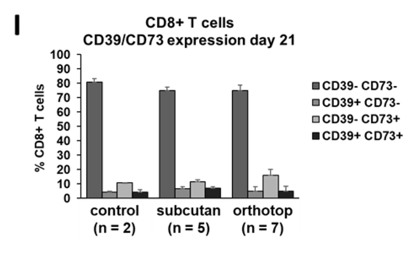 Ijms 22 00247 g006b Ijms 22 00247 g006b