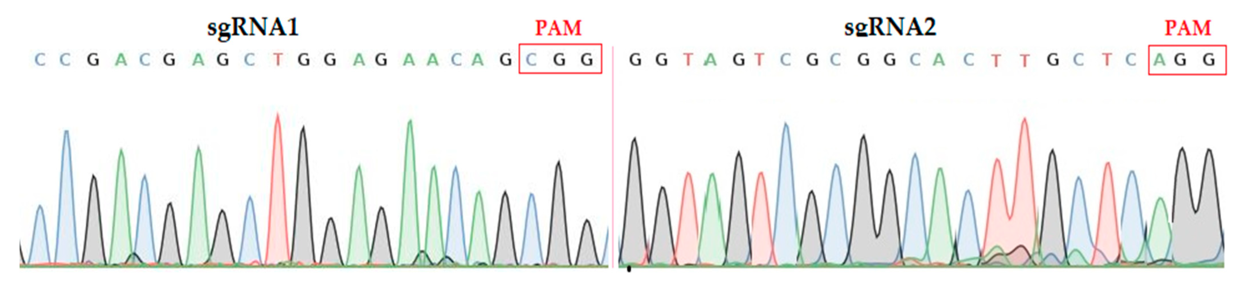 Ijms 22 00249 g001 Ijms 22 00249 g001