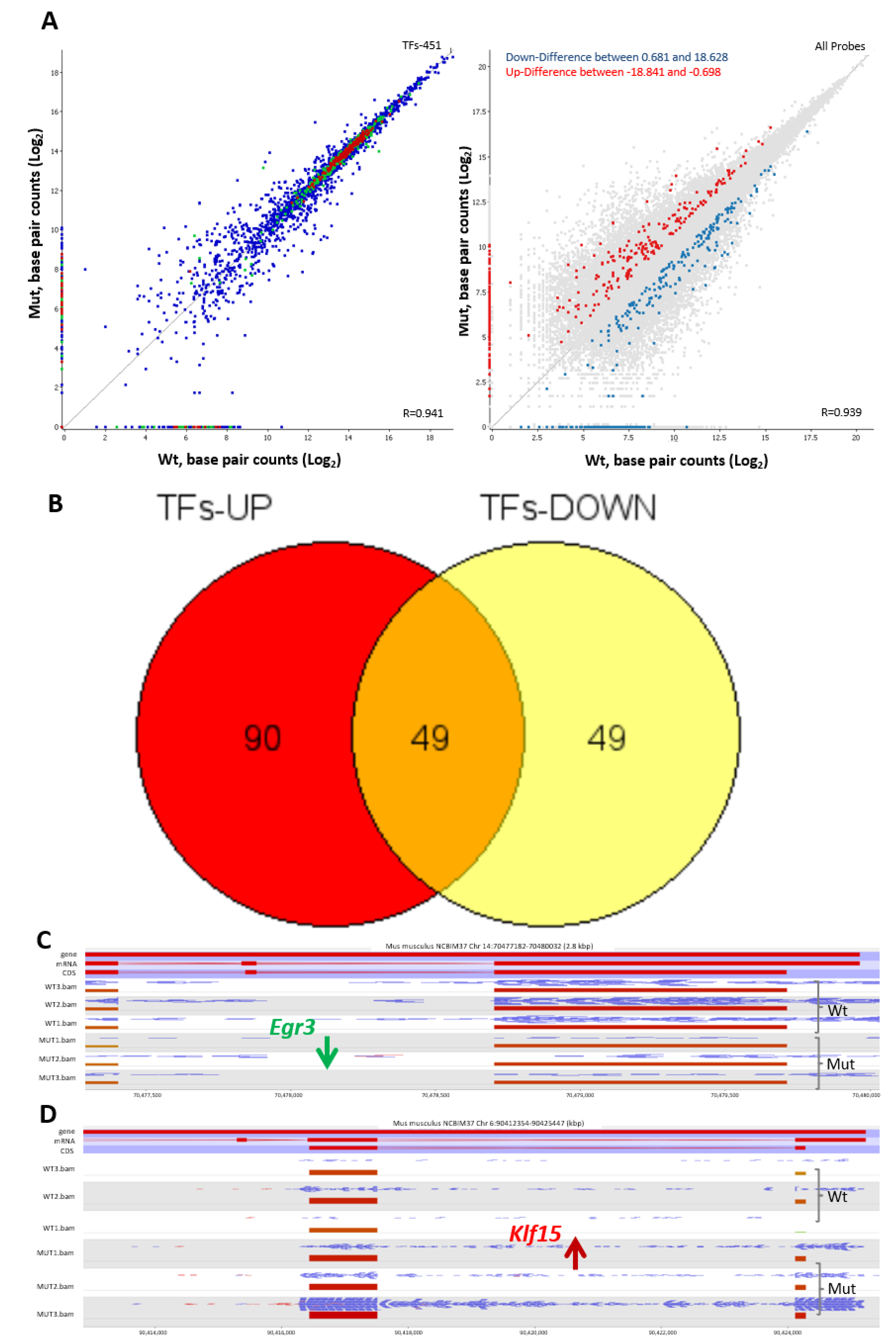 Ijms 22 00252 g005 Ijms 22 00252 g005