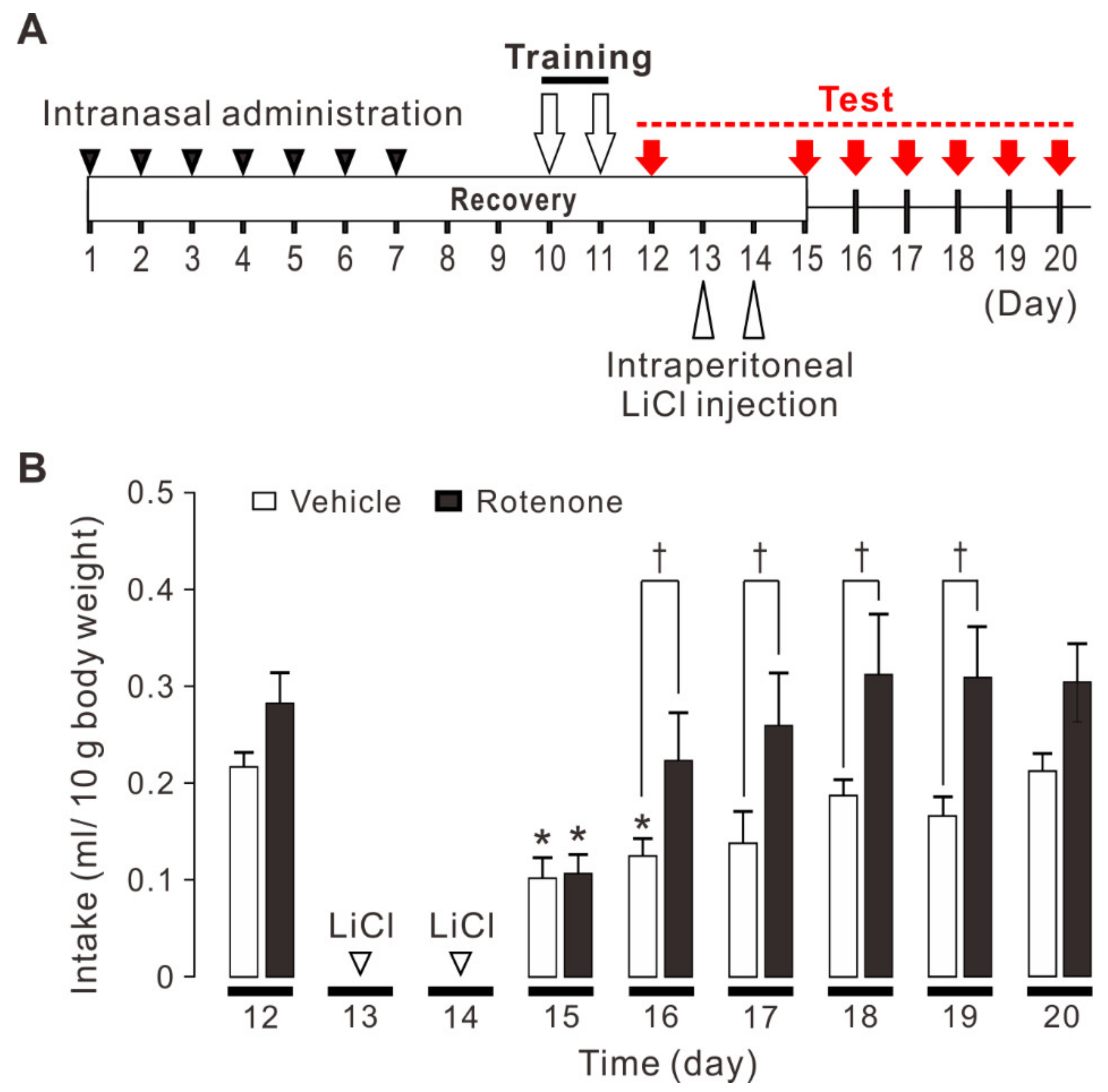 Ijms 22 00259 g001 Ijms 22 00259 g001