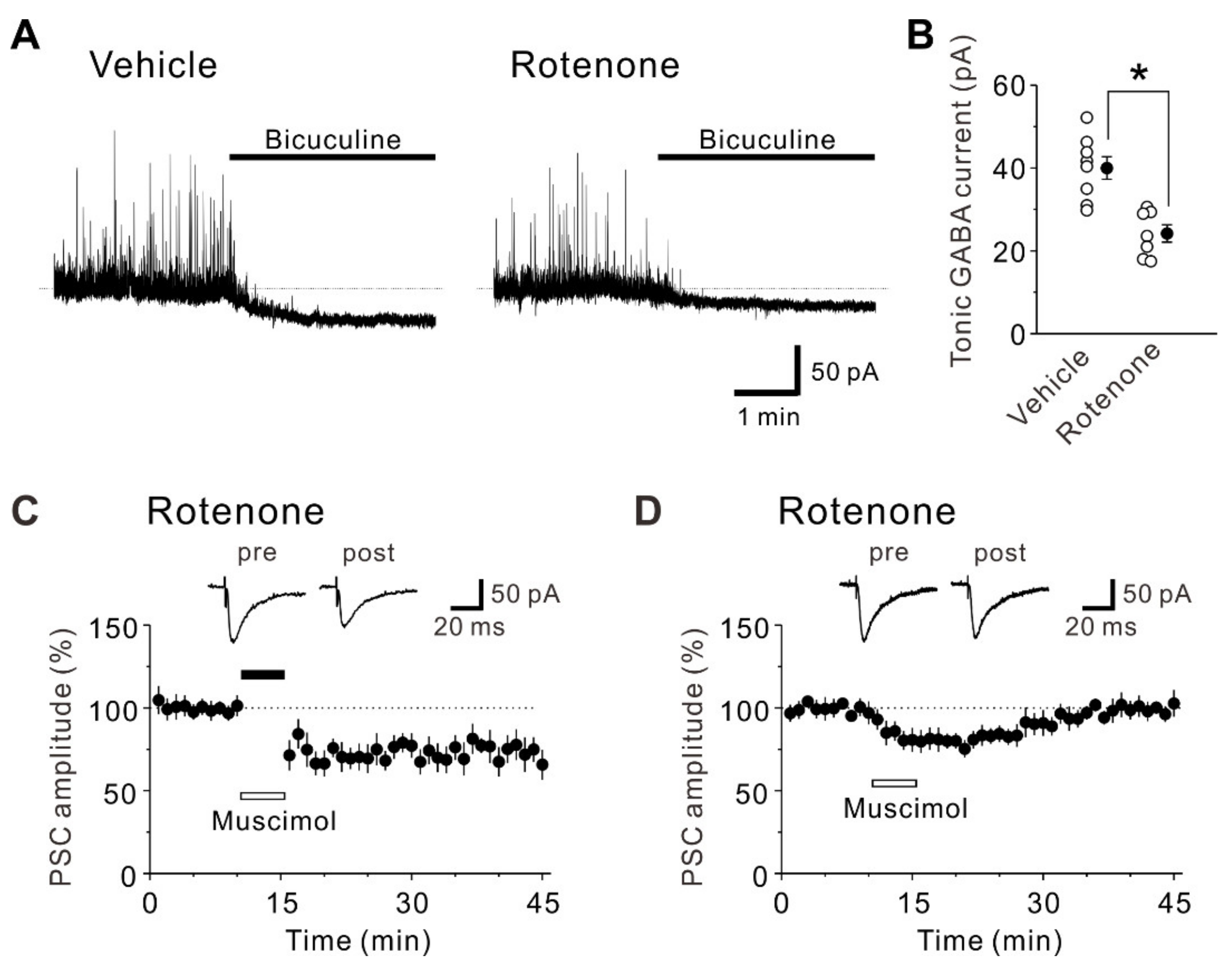 Ijms 22 00259 g004 Ijms 22 00259 g004