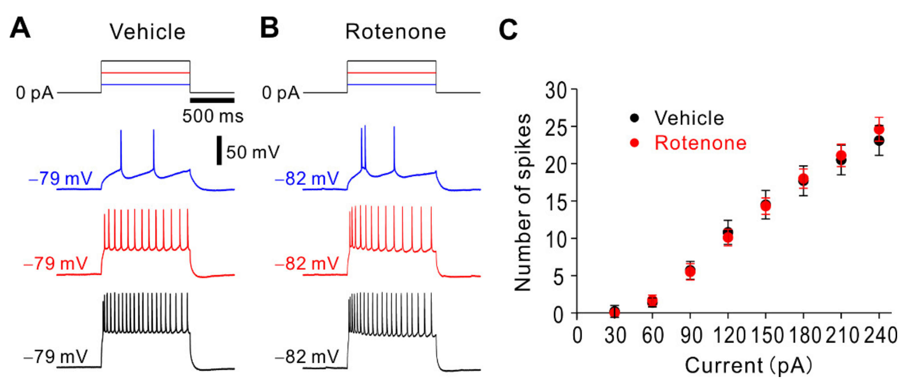 Ijms 22 00259 g005 Ijms 22 00259 g005