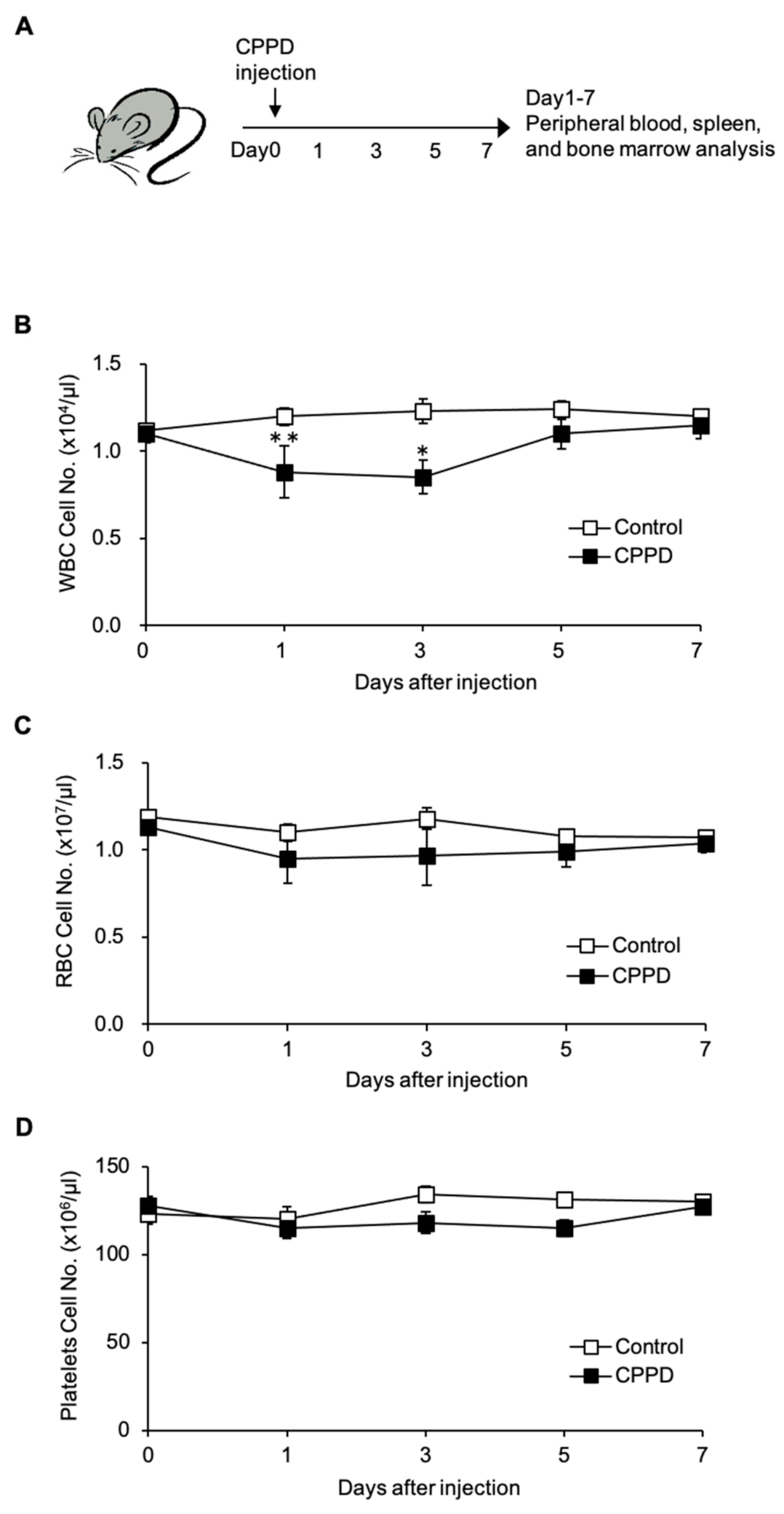 Ijms 22 00262 g001 Ijms 22 00262 g001