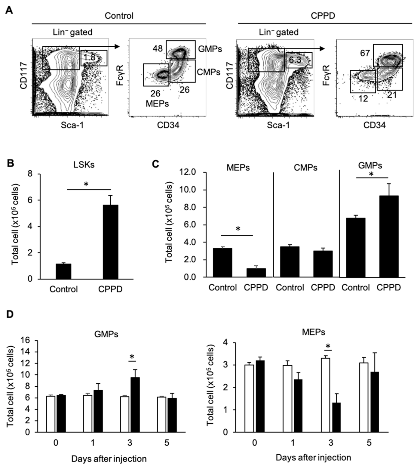 Ijms 22 00262 g003 Ijms 22 00262 g003