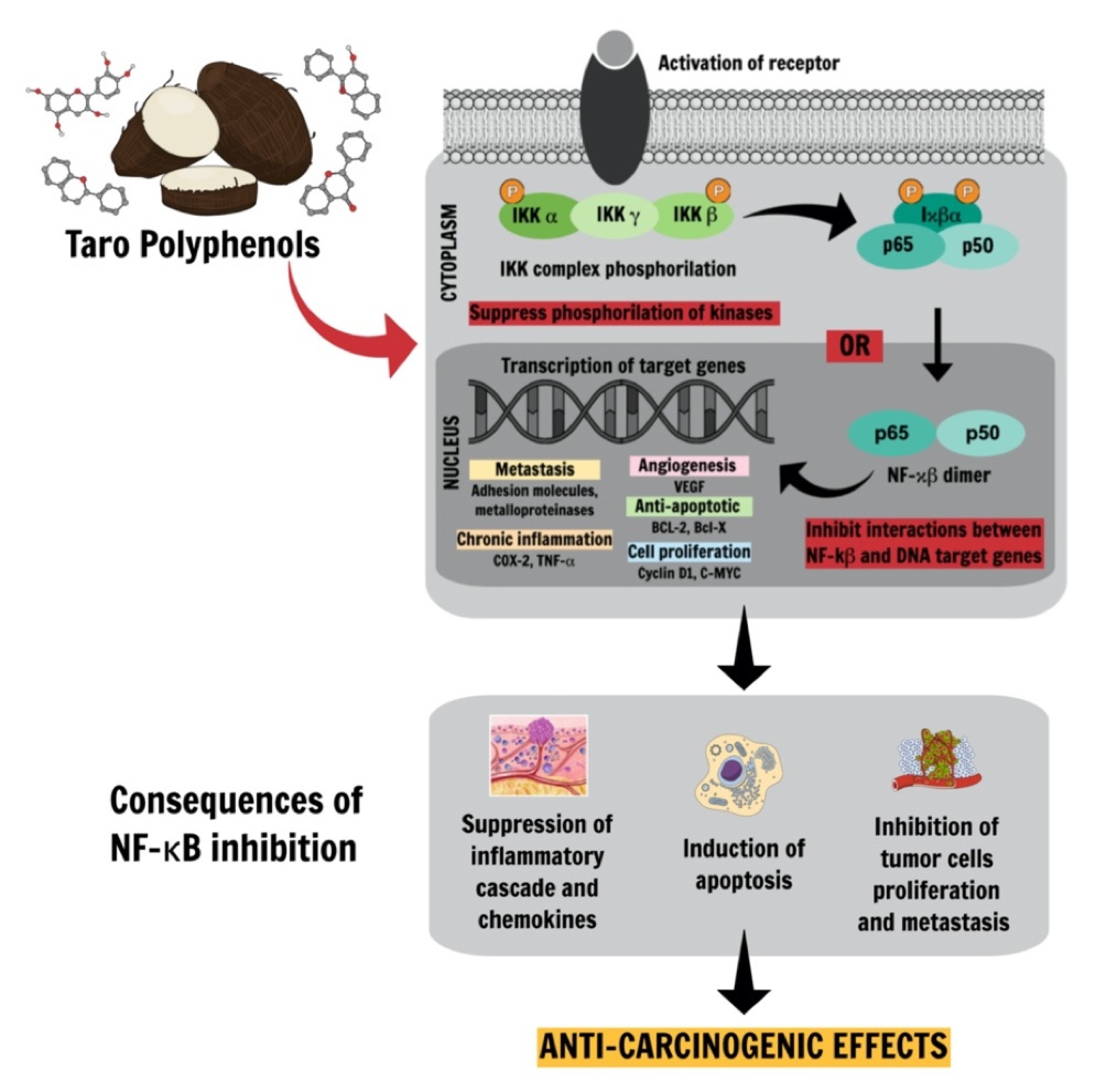 Ijms 22 00265 g002 Ijms 22 00265 g002