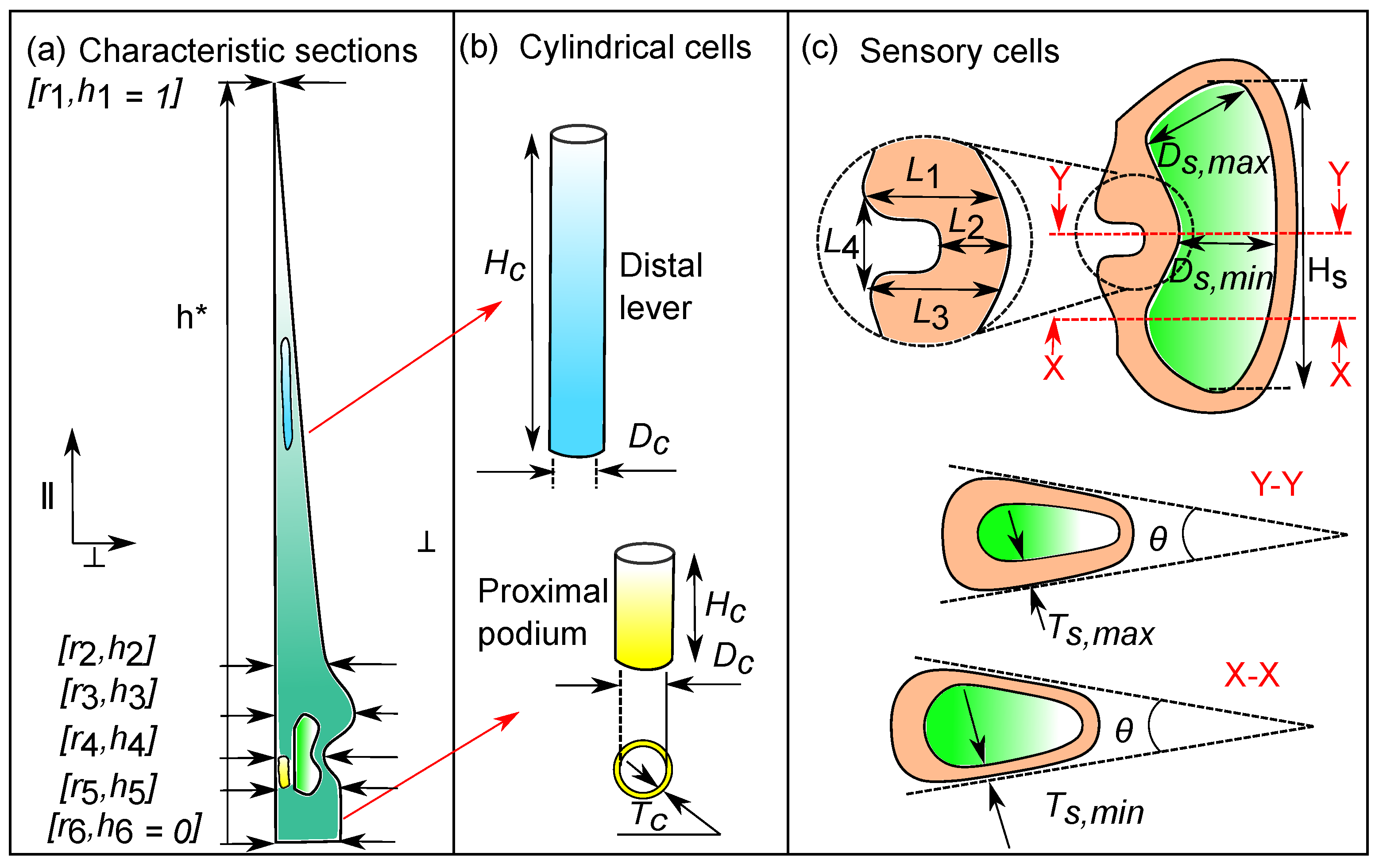 Ijms 22 00280 g002 Ijms 22 00280 g002