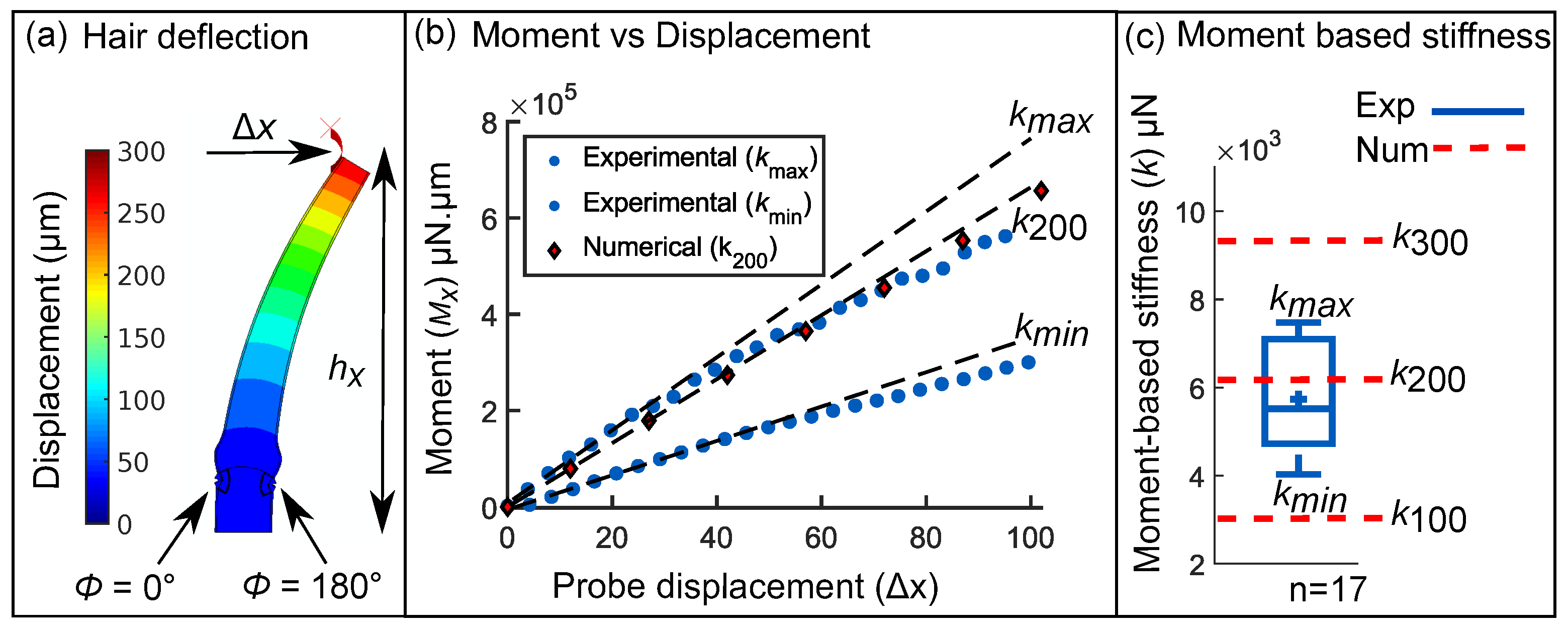 Ijms 22 00280 g004 Ijms 22 00280 g004