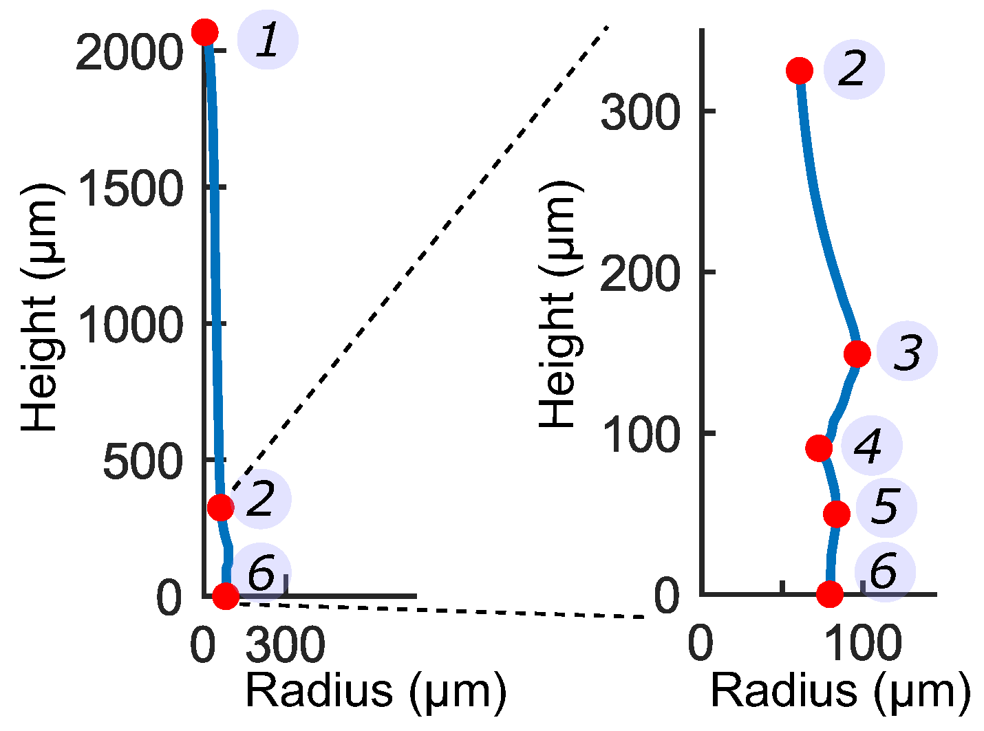 Ijms 22 00280 g006 Ijms 22 00280 g006