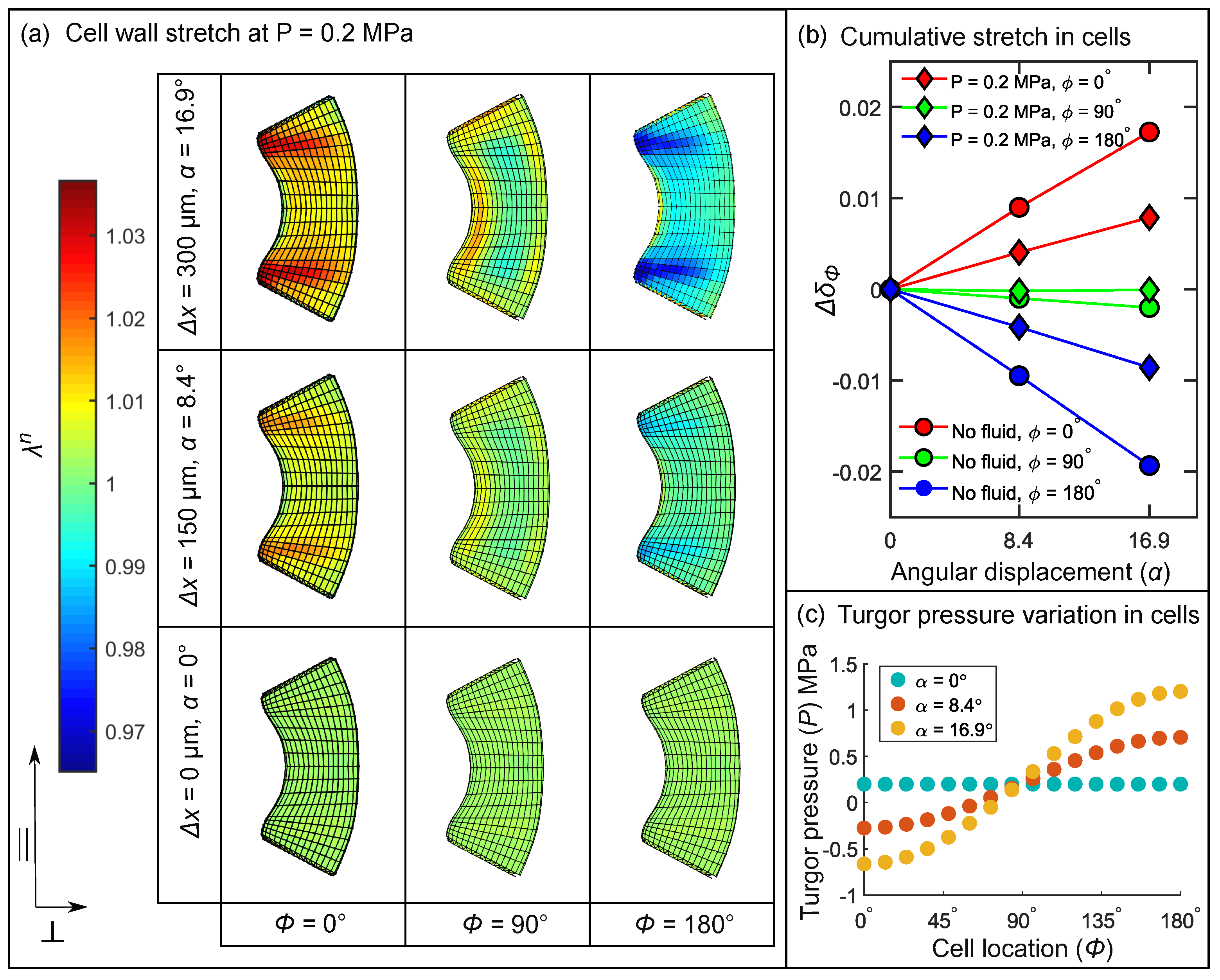 Ijms 22 00280 g008 Ijms 22 00280 g008