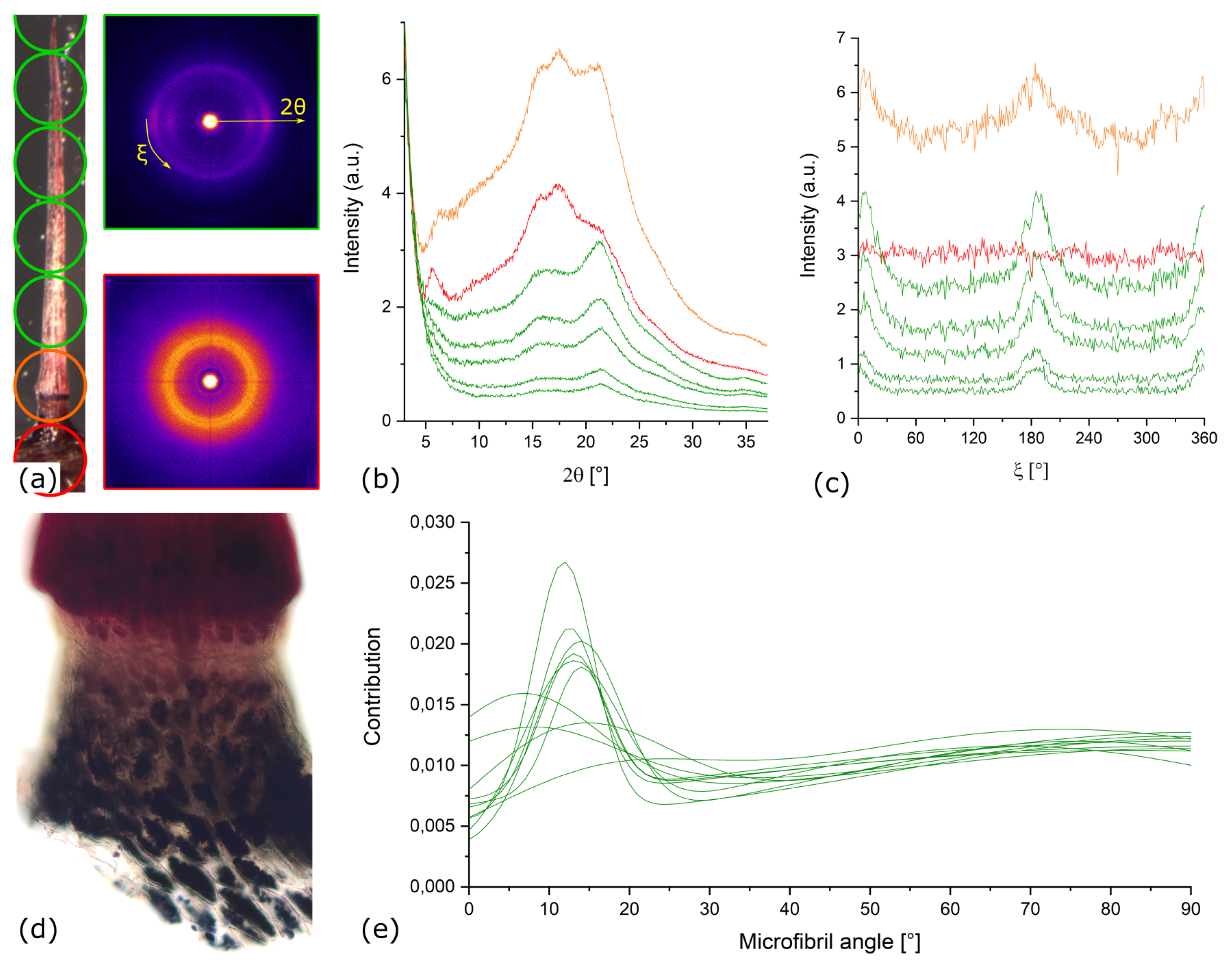 Ijms 22 00280 g0a2 Ijms 22 00280 g0a2
