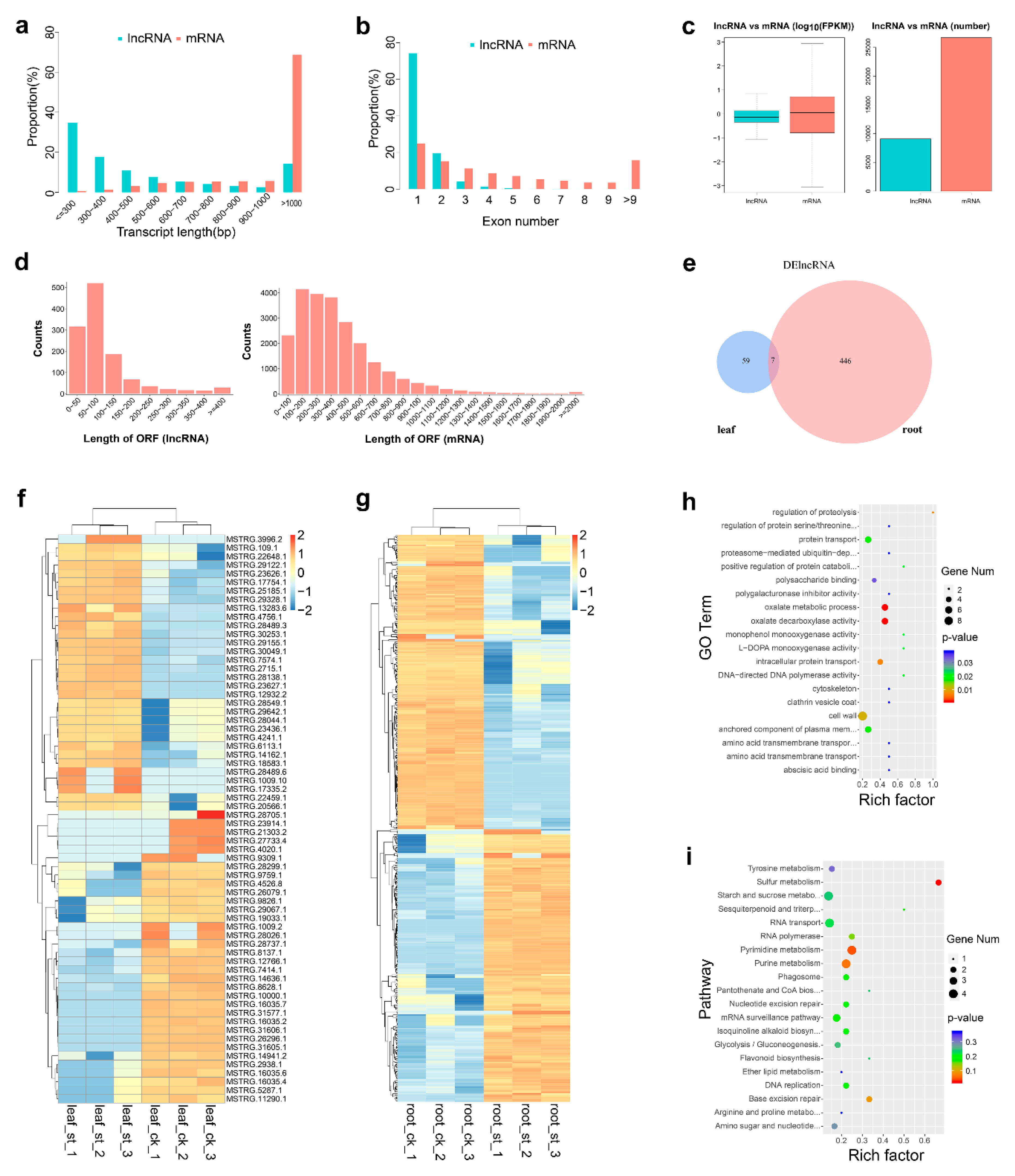 Ijms 22 00289 g002 Ijms 22 00289 g002