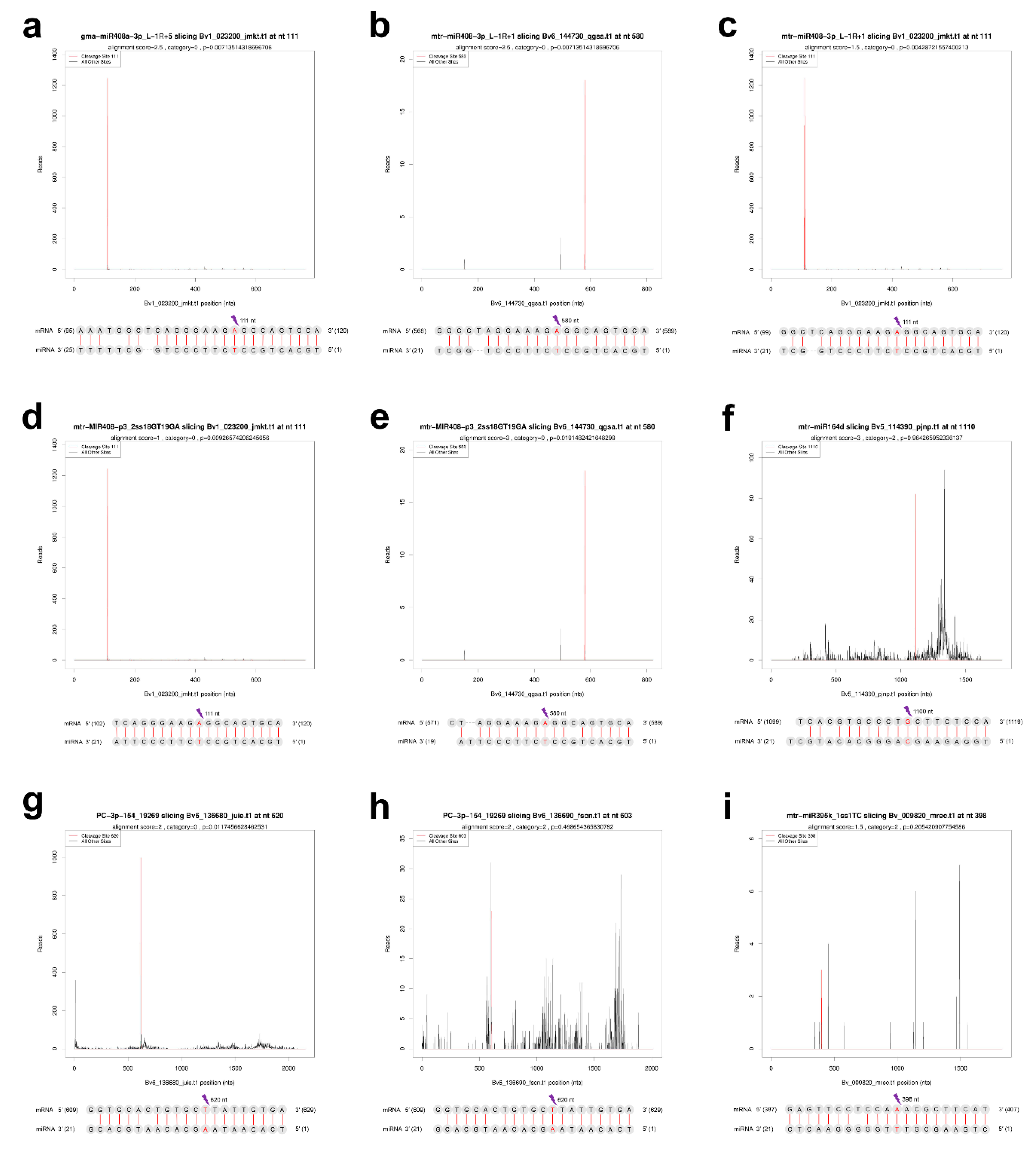 Ijms 22 00289 g006 Ijms 22 00289 g006