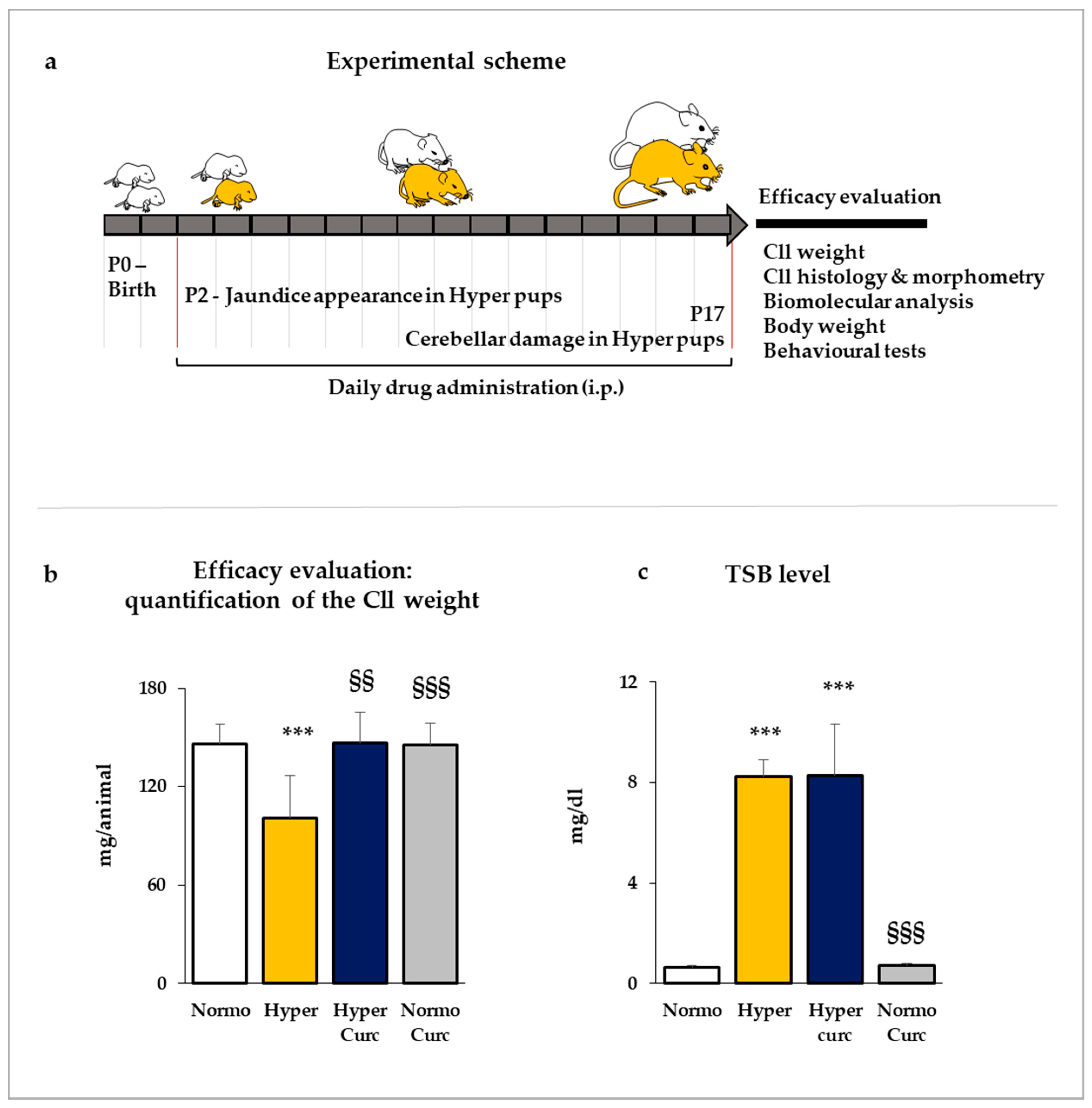 Ijms 22 00299 g001 Ijms 22 00299 g001
