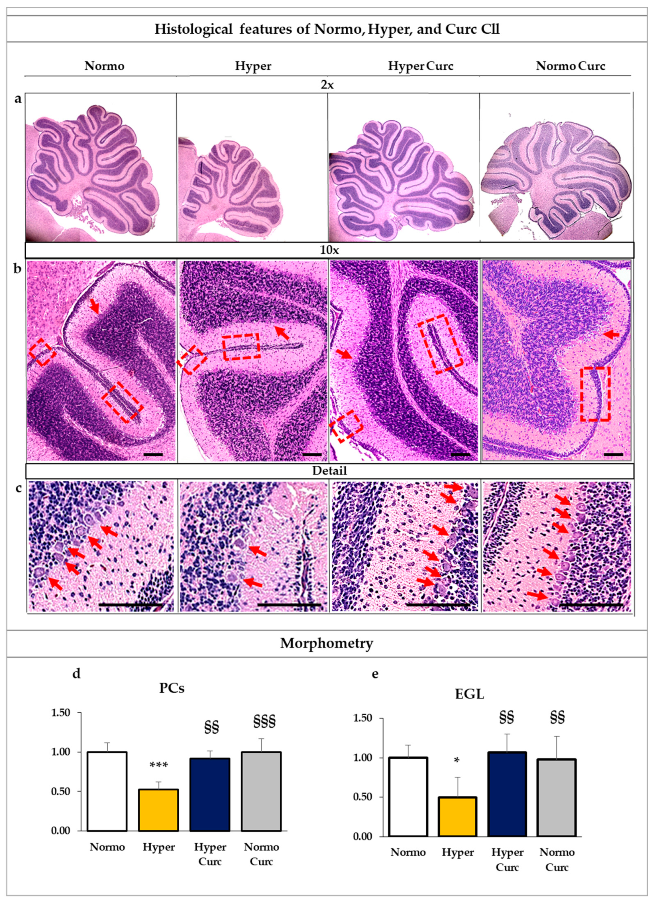Ijms 22 00299 g002 Ijms 22 00299 g002