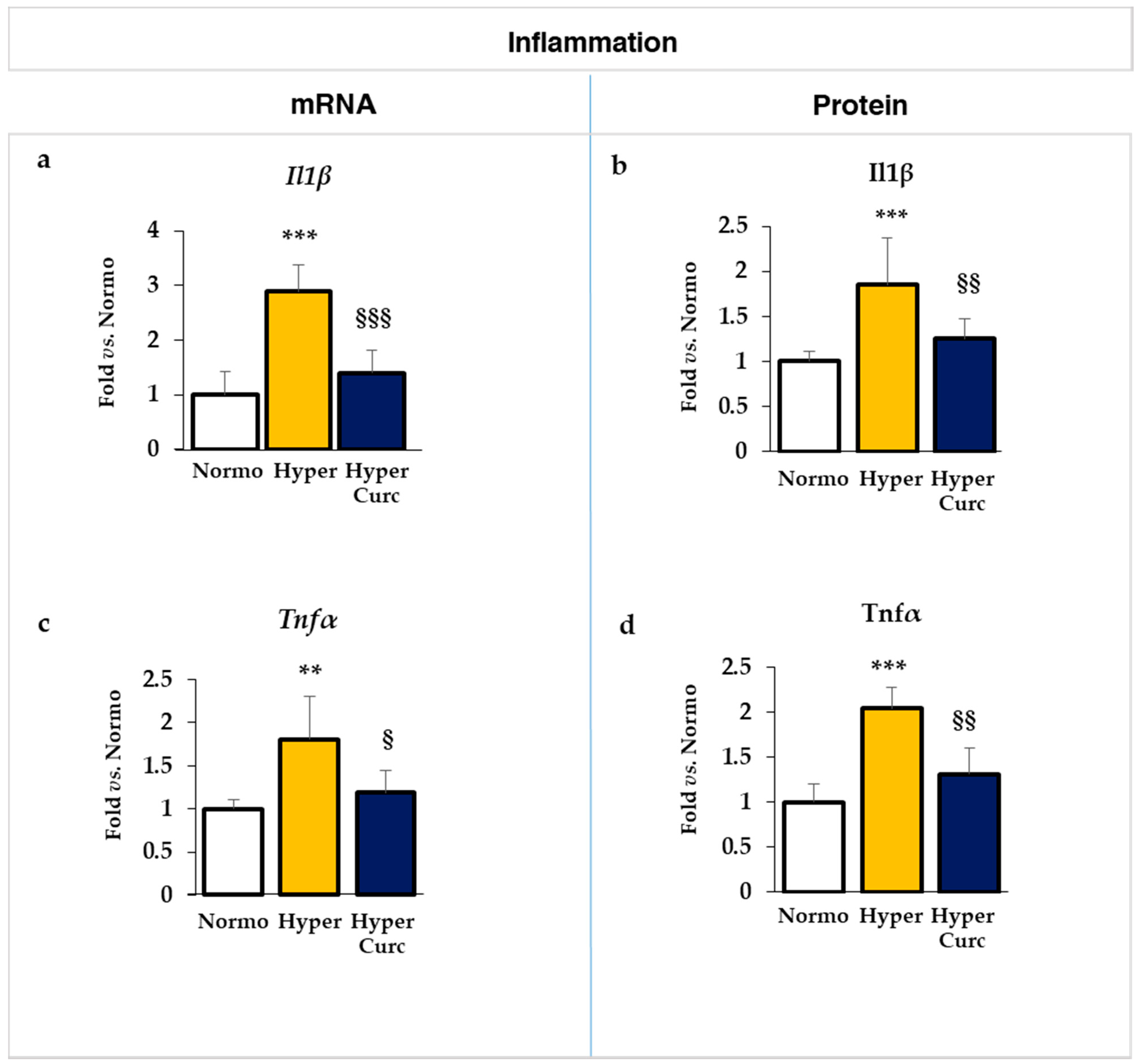 Ijms 22 00299 g005 Ijms 22 00299 g005