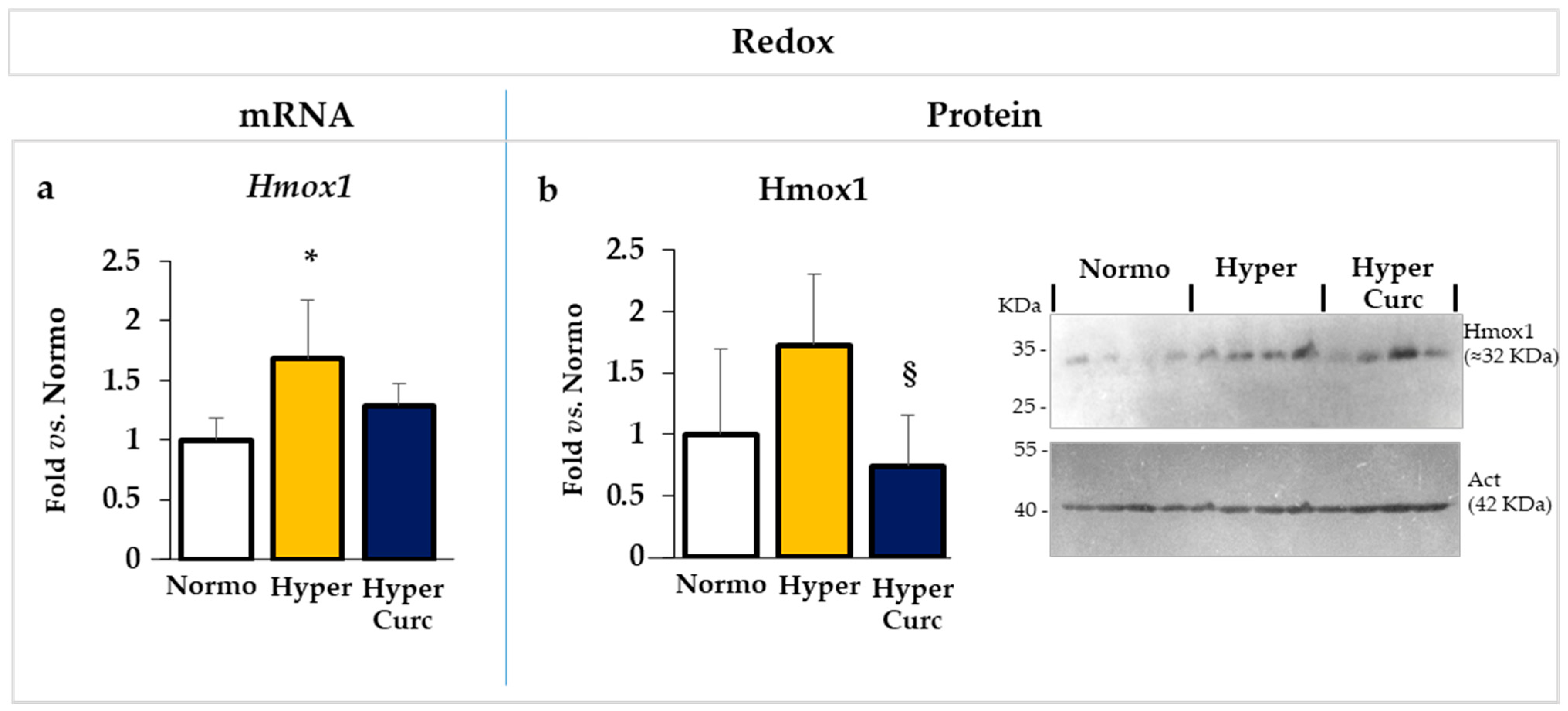 Ijms 22 00299 g007 Ijms 22 00299 g007