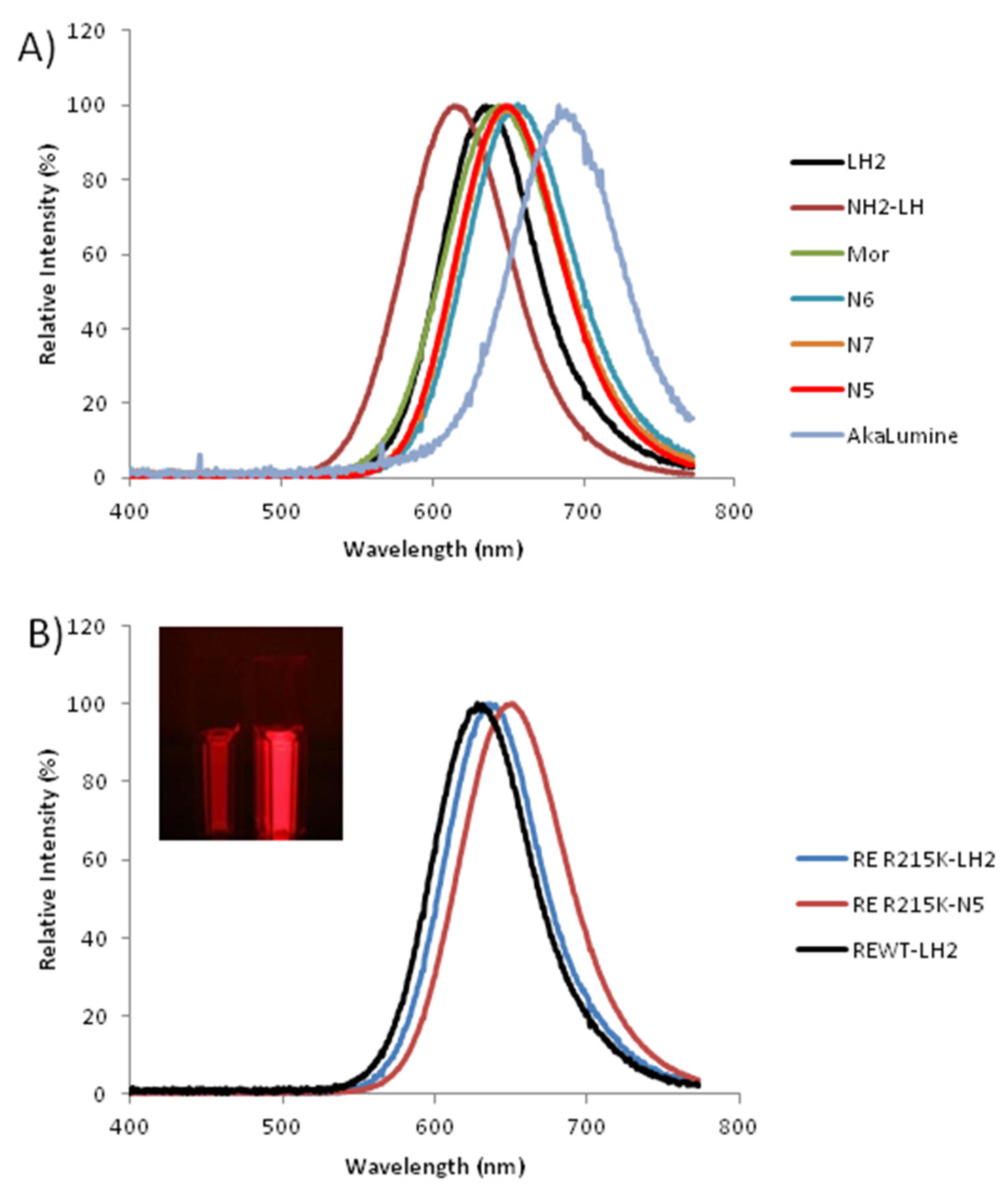IJMS Free FullText A Very Bright FarRed Bioluminescence Emitting