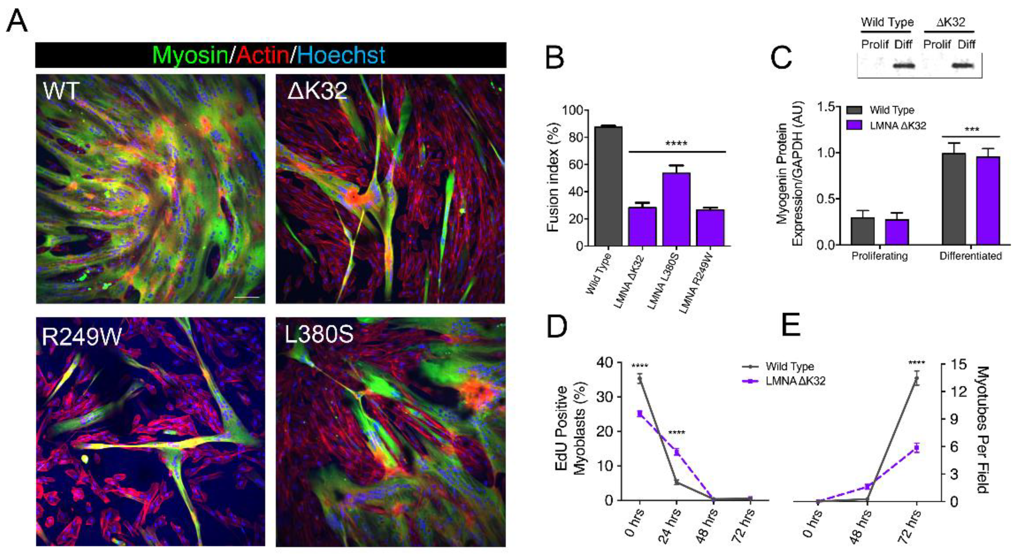 Ijms 22 00306 g001 Ijms 22 00306 g001