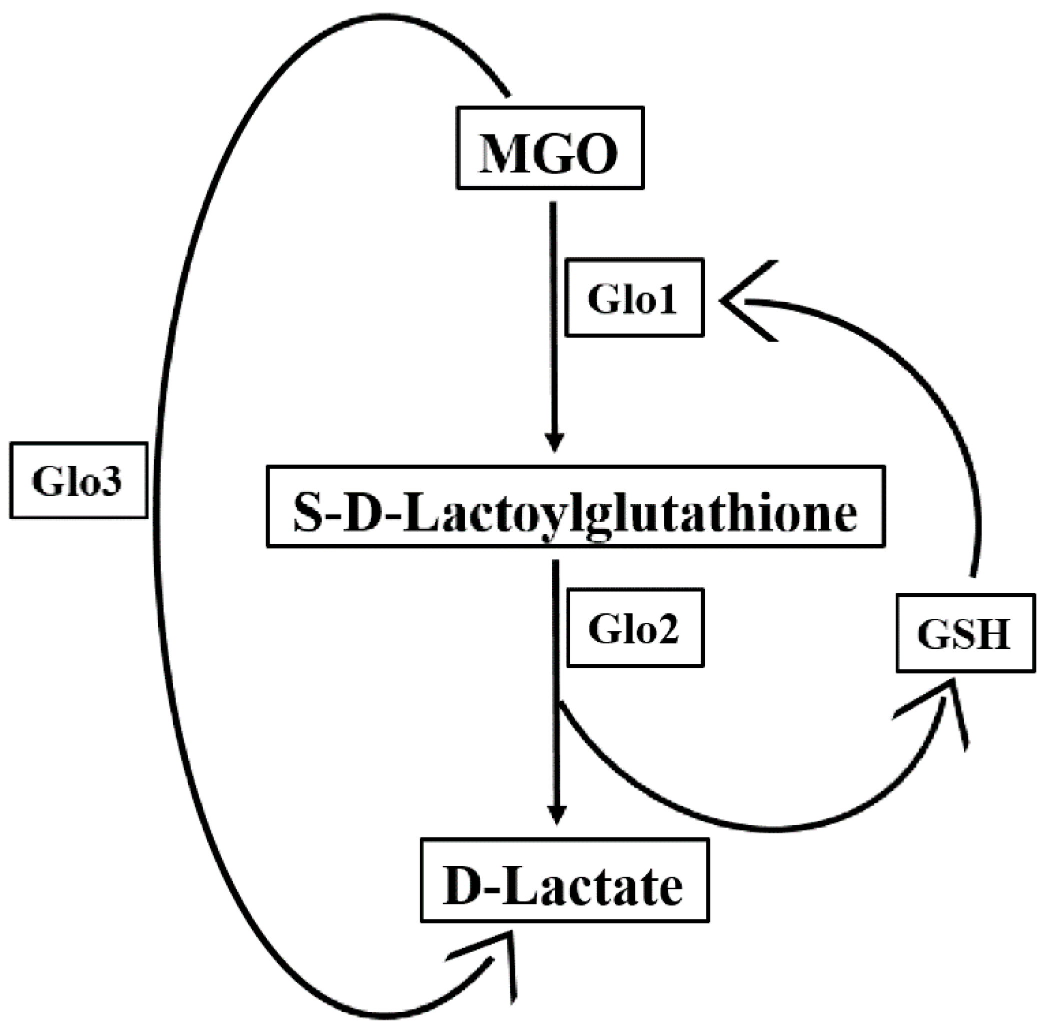 Ijms 22 00310 sch001