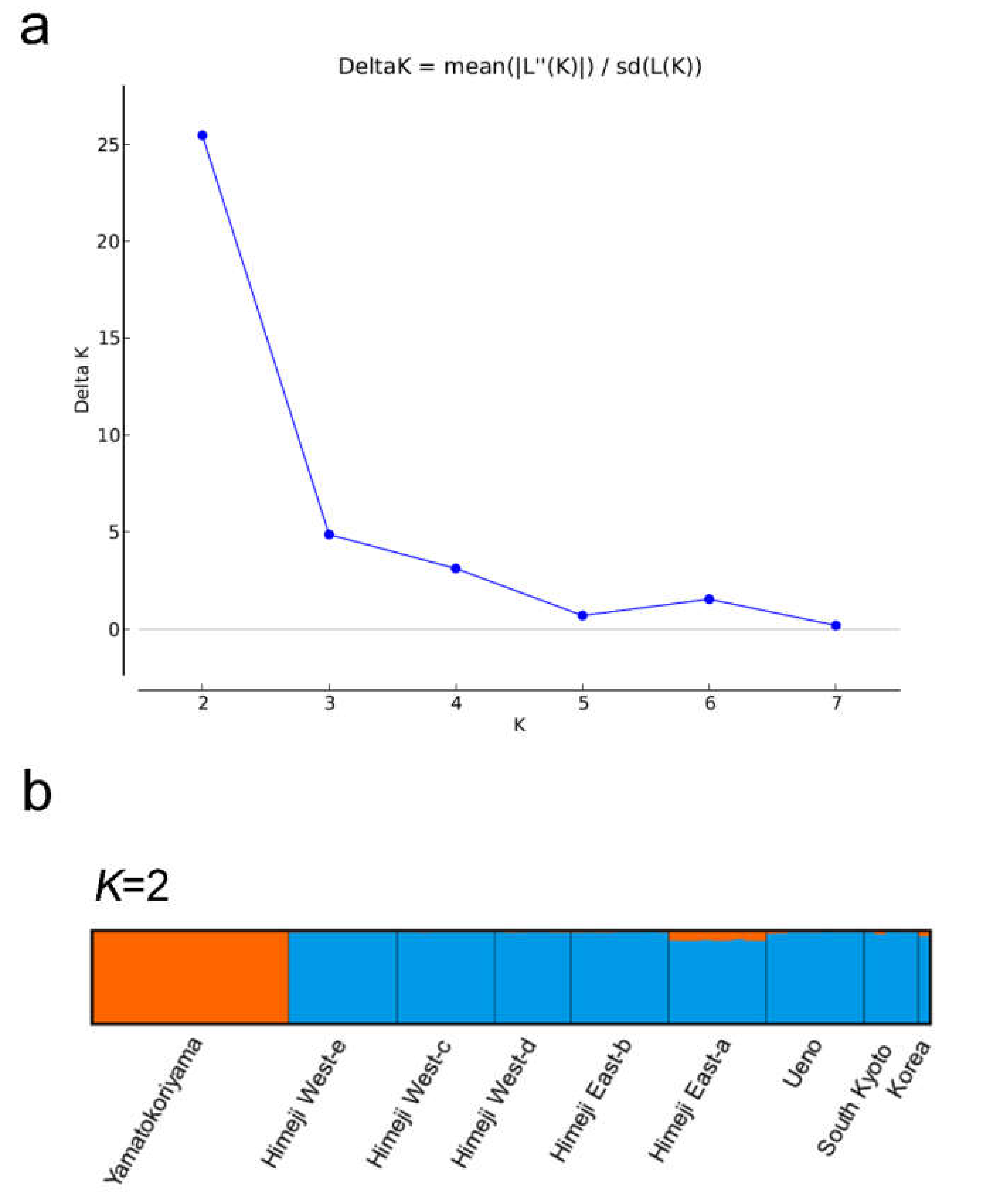 Ijms 22 00311 g004 Ijms 22 00311 g004