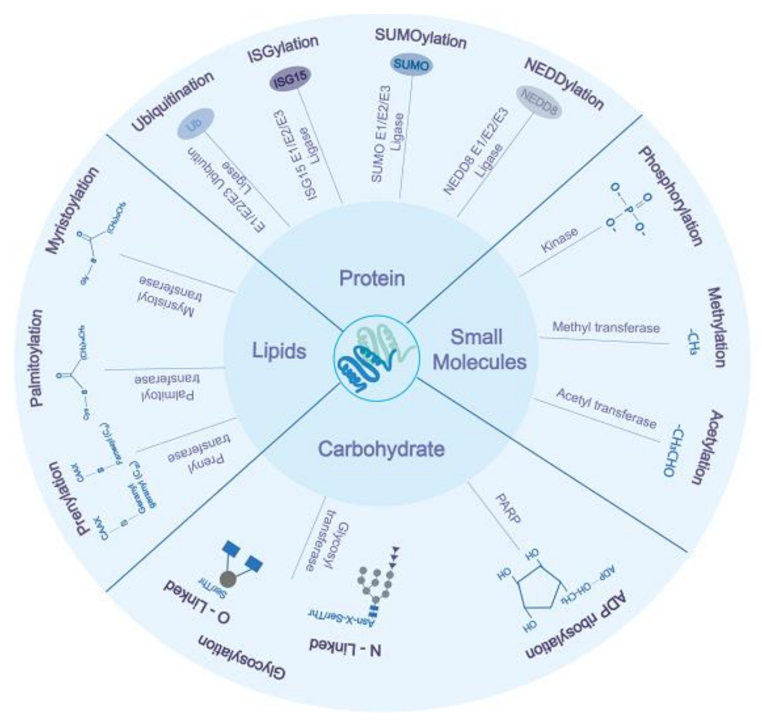 Ijms 22 00323 g001 Ijms 22 00323 g001