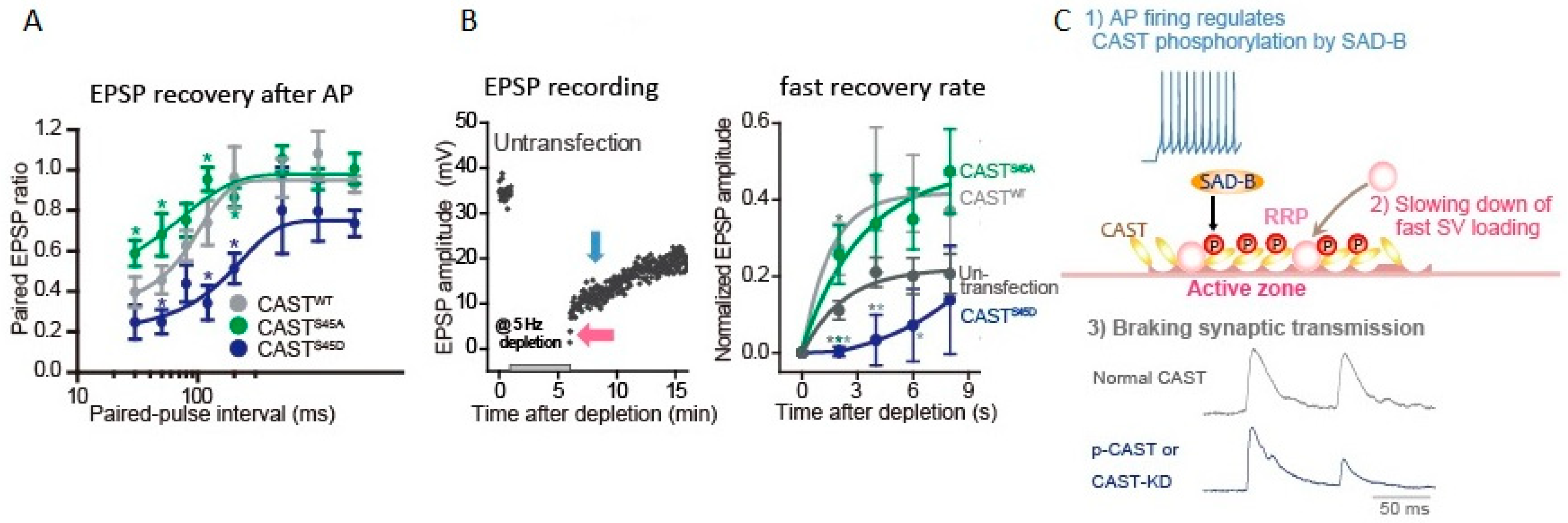 Ijms 22 00327 g003 Ijms 22 00327 g003