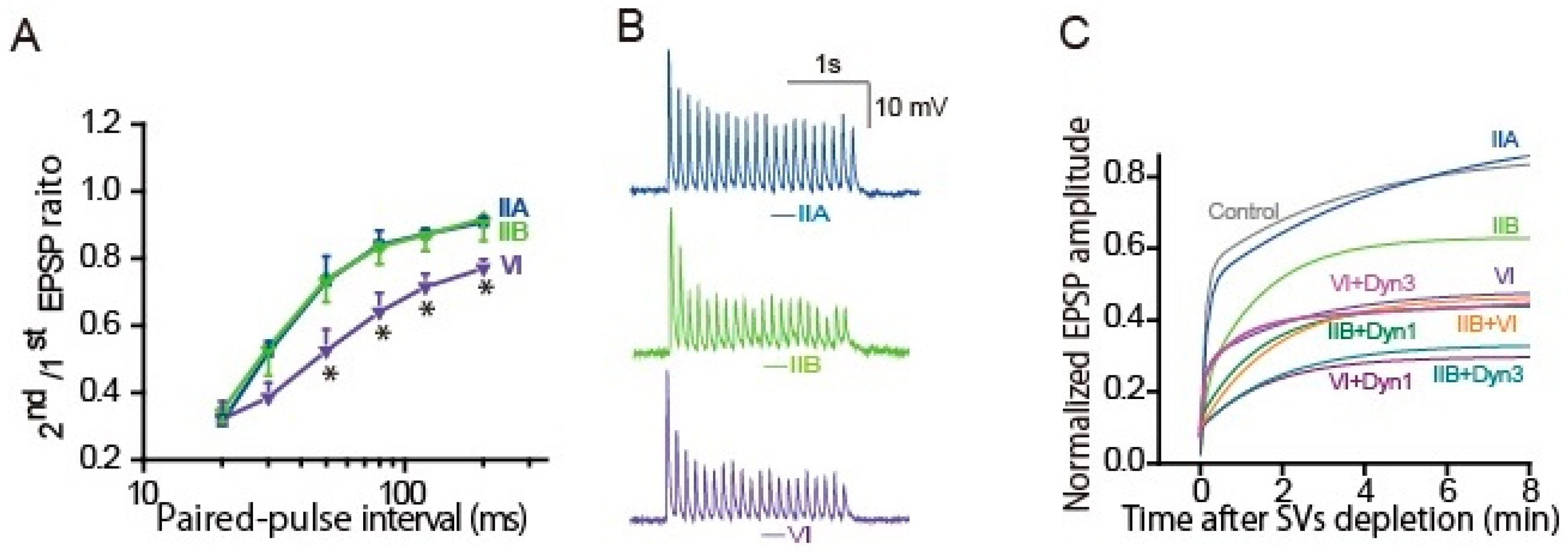 Ijms 22 00327 g004 Ijms 22 00327 g004