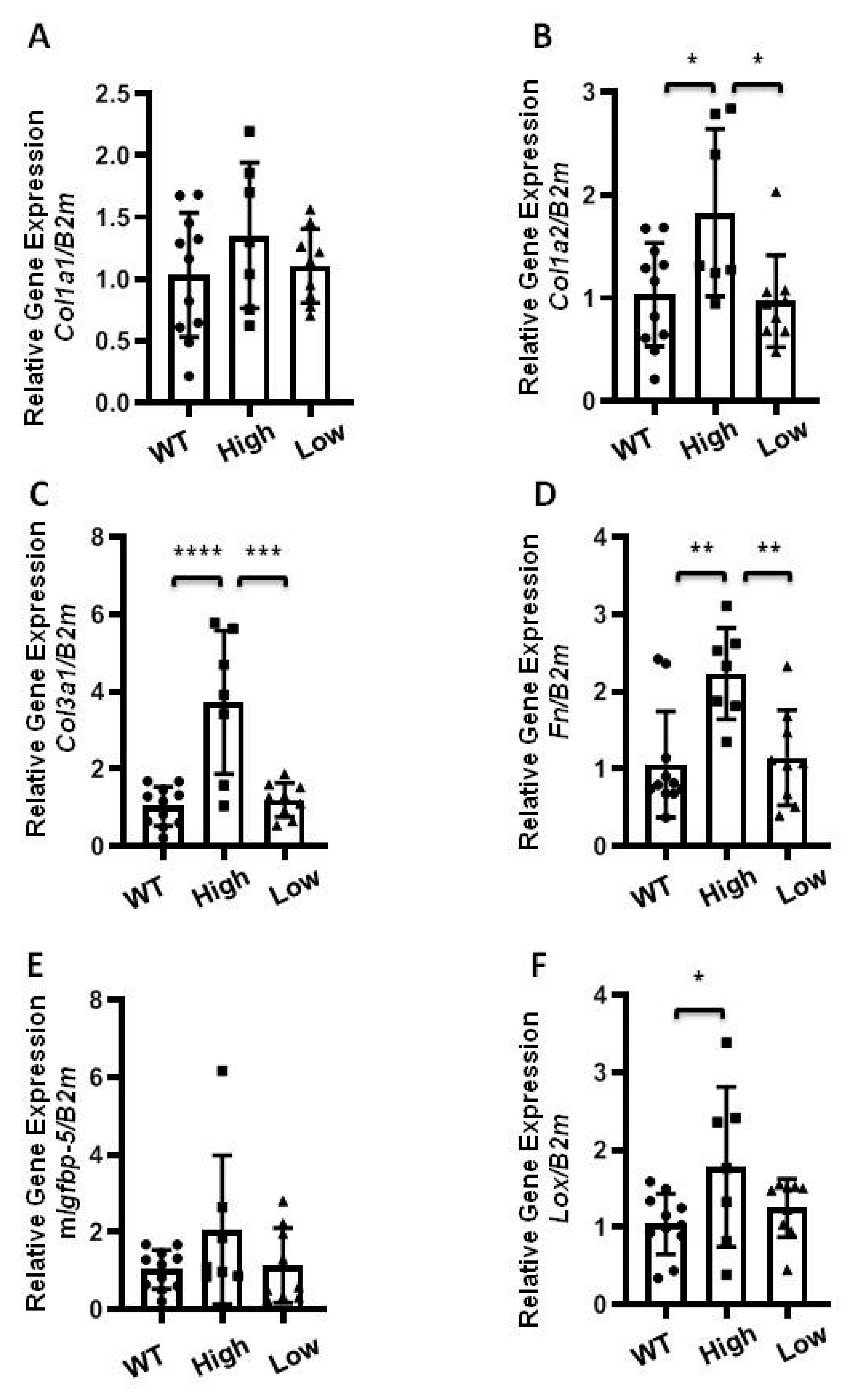 Ijms 22 00335 g003 Ijms 22 00335 g003
