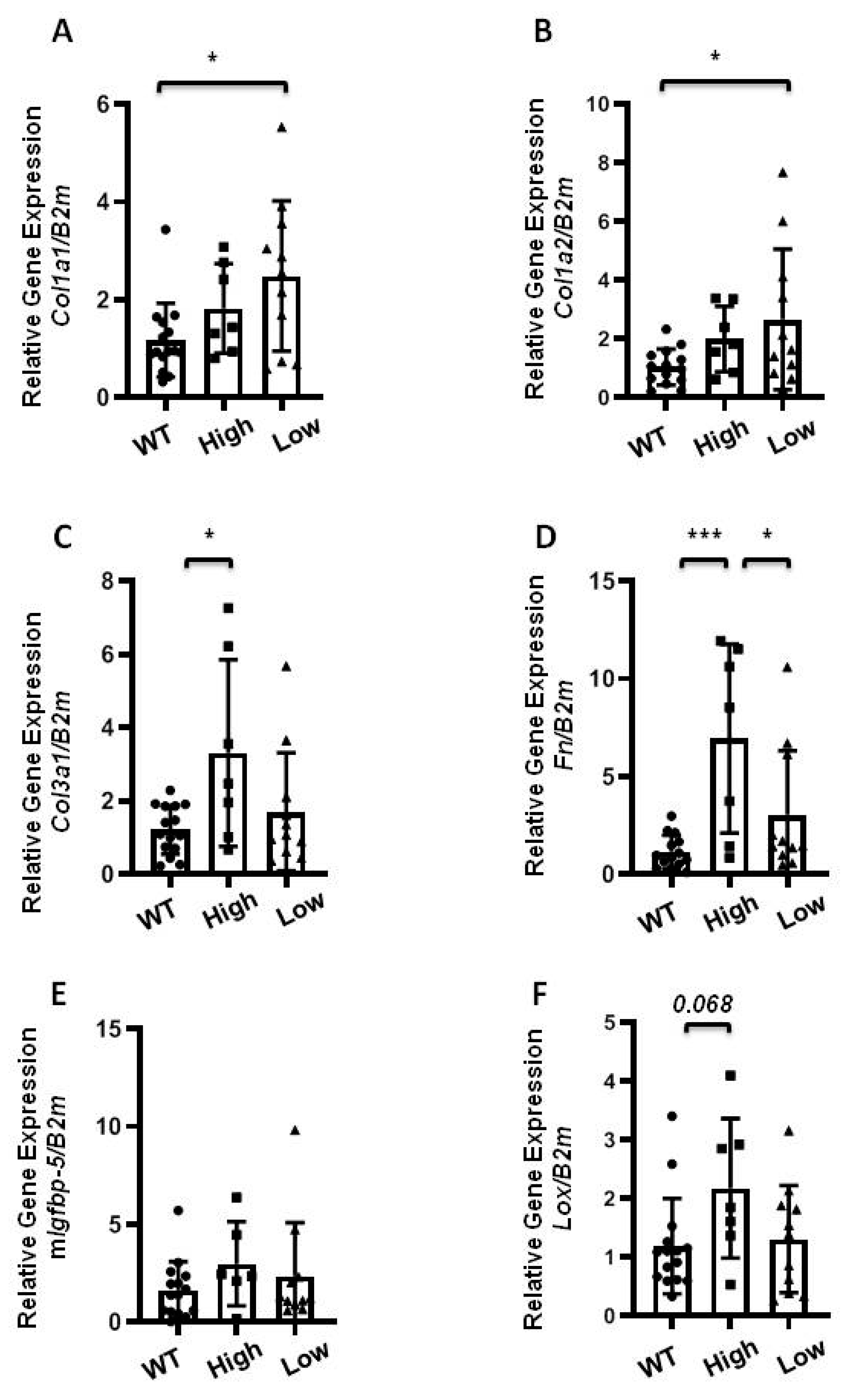 Ijms 22 00335 g004 Ijms 22 00335 g004