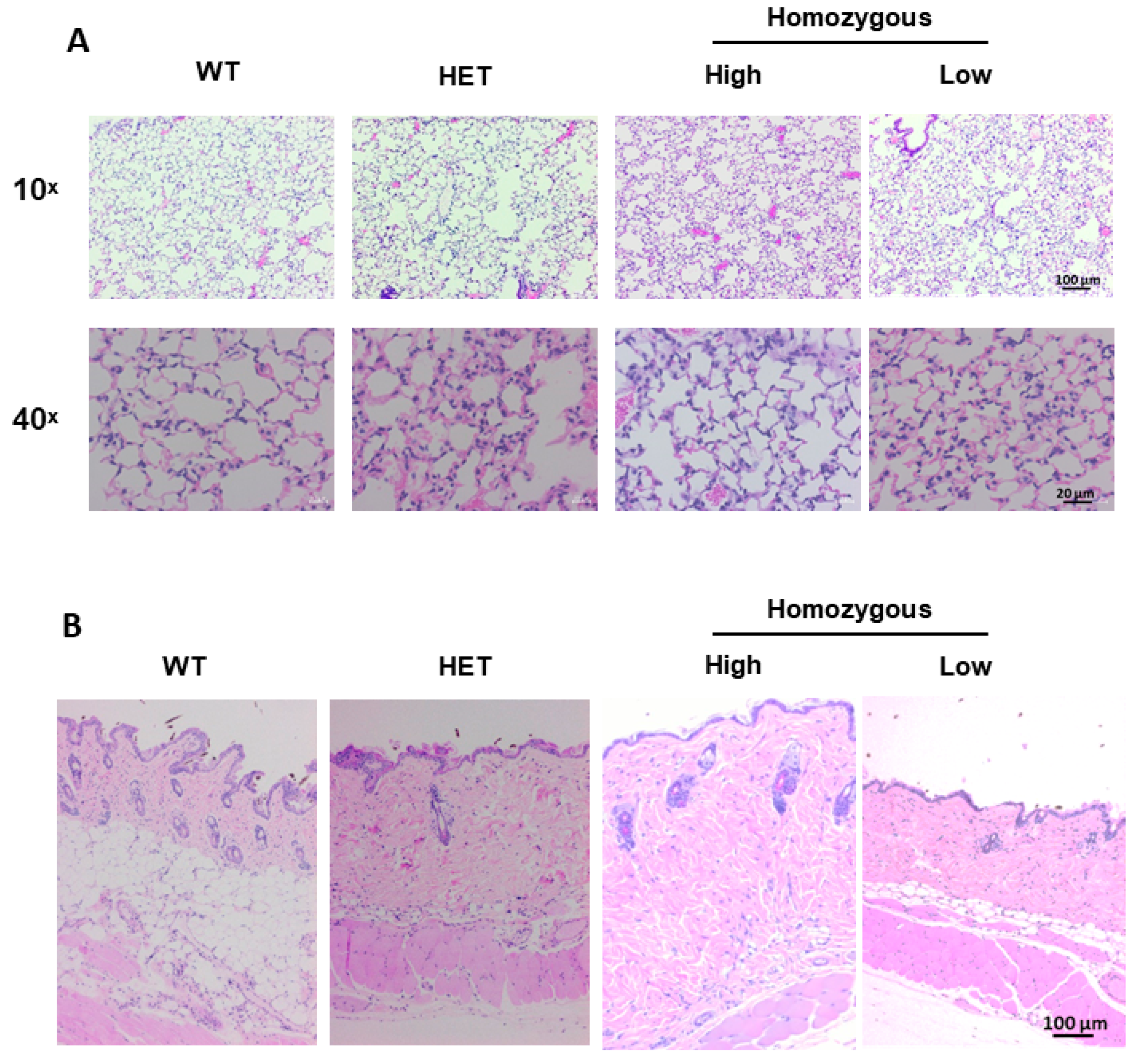 Ijms 22 00335 g005 Ijms 22 00335 g005