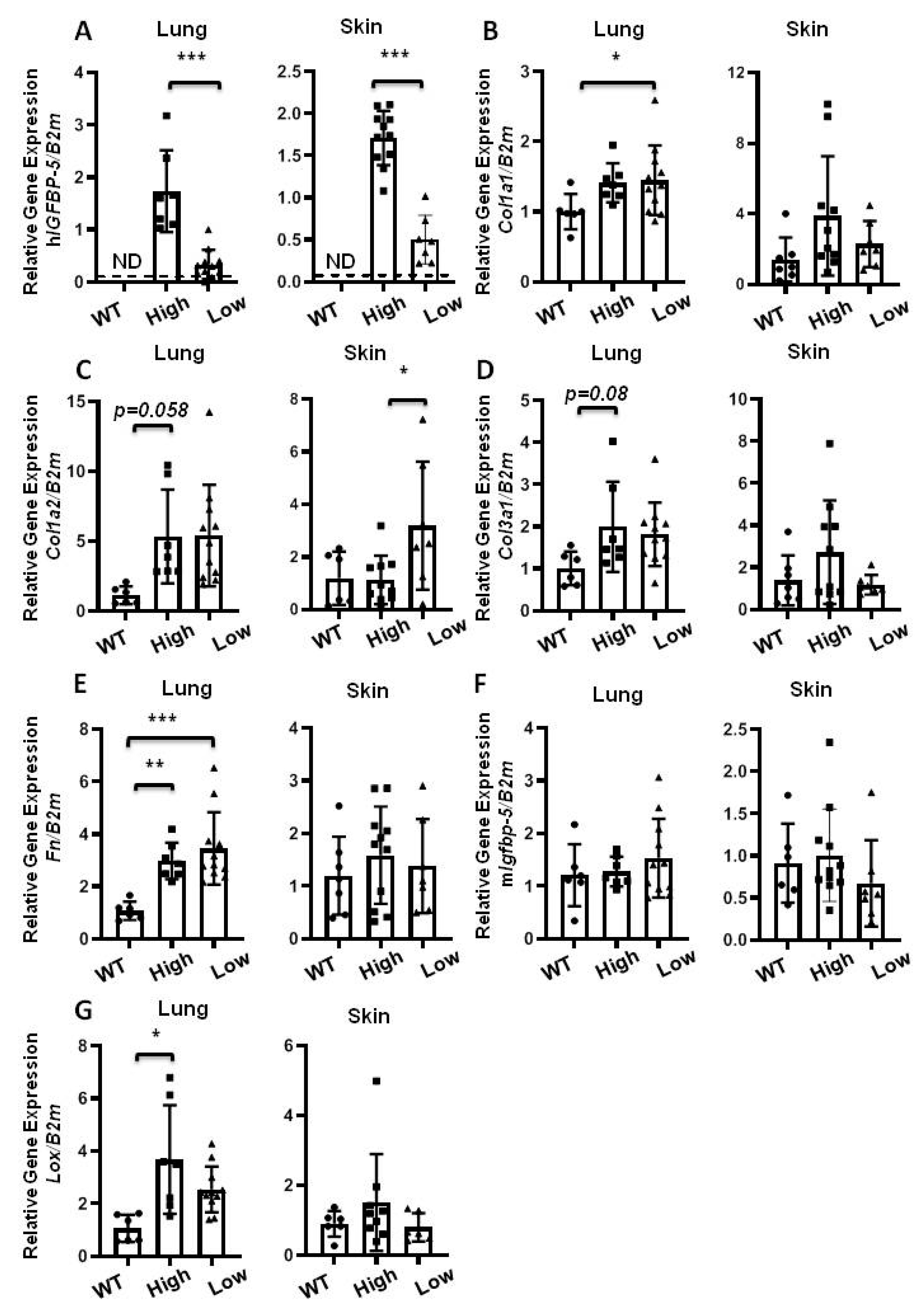 Ijms 22 00335 g006 Ijms 22 00335 g006