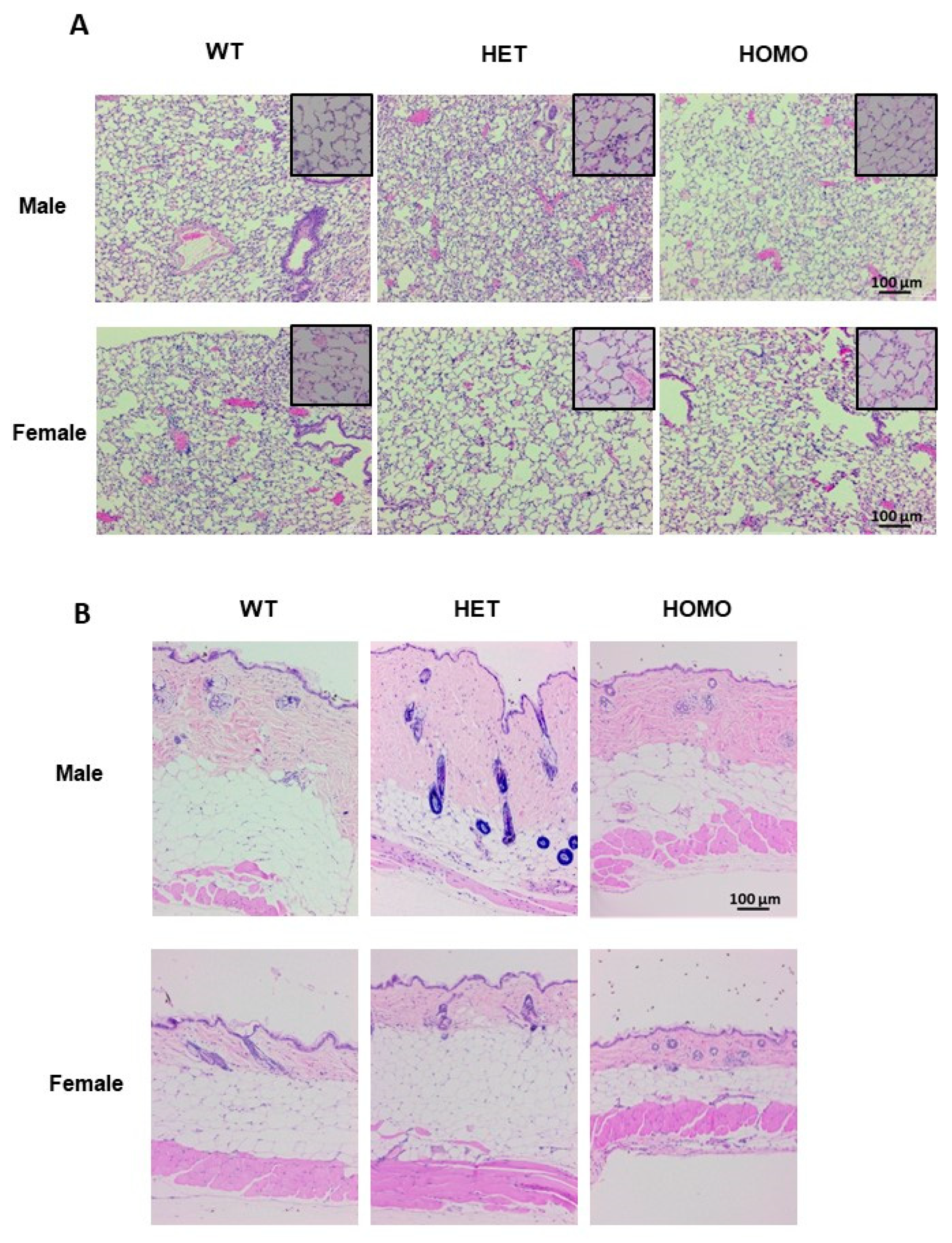 Ijms 22 00335 g007 Ijms 22 00335 g007