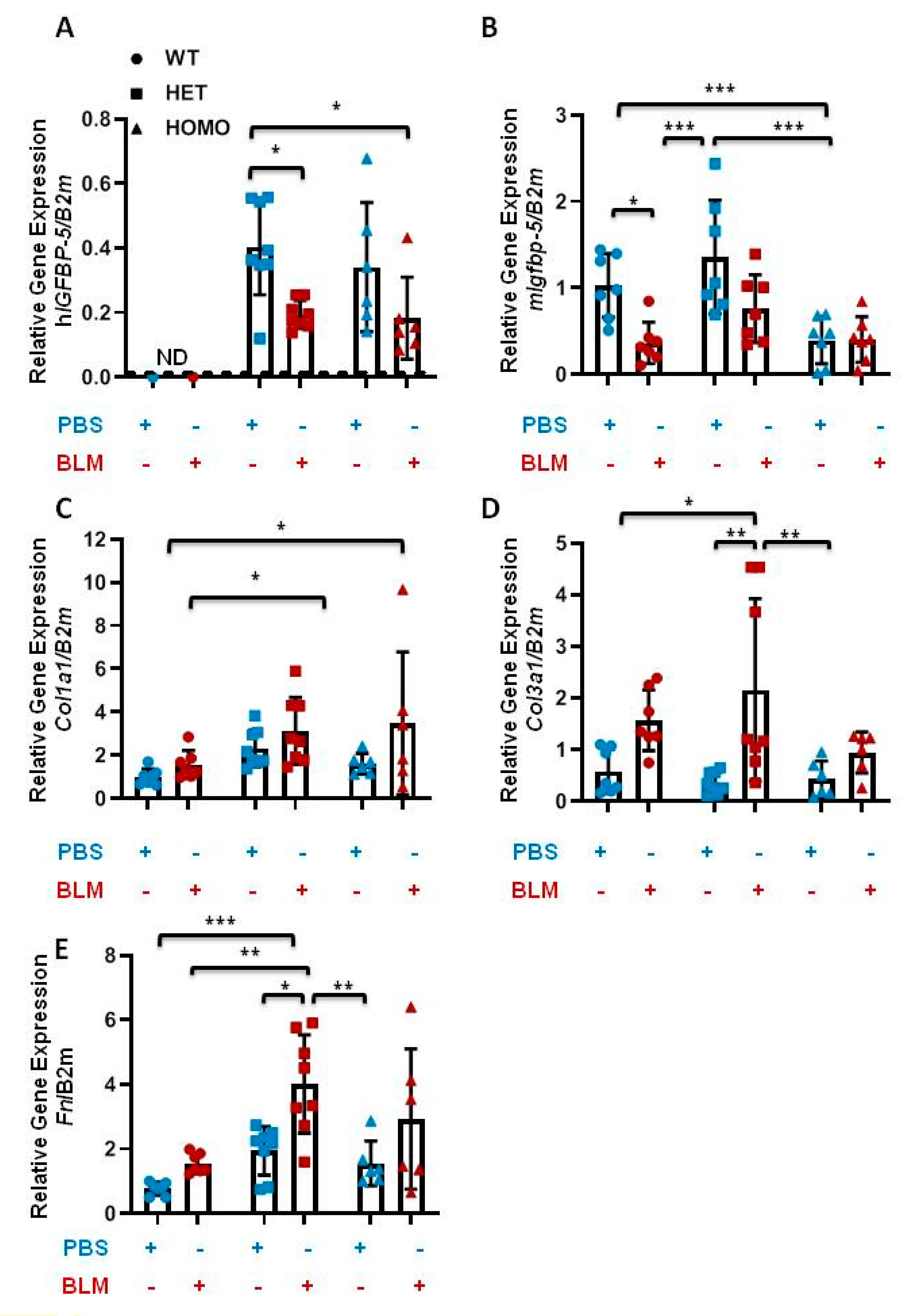 Ijms 22 00335 g008 Ijms 22 00335 g008