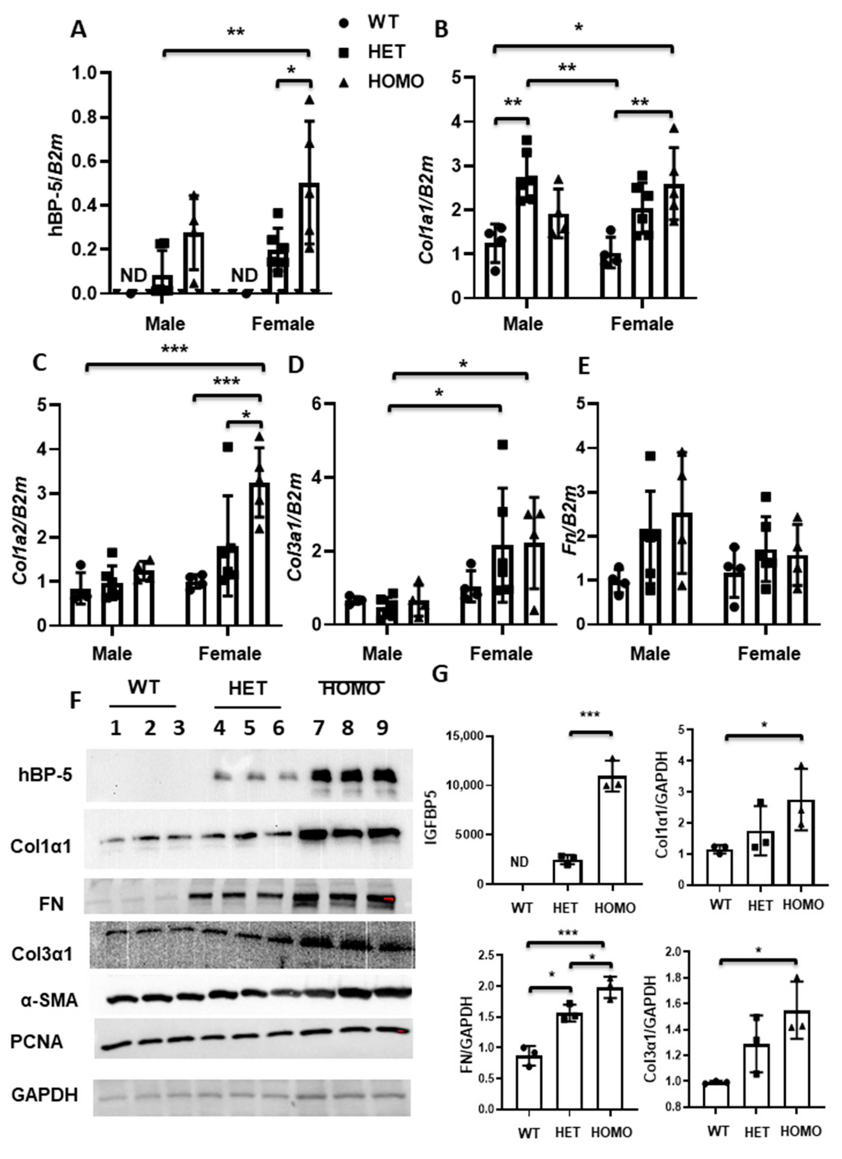 Ijms 22 00335 g009 Ijms 22 00335 g009