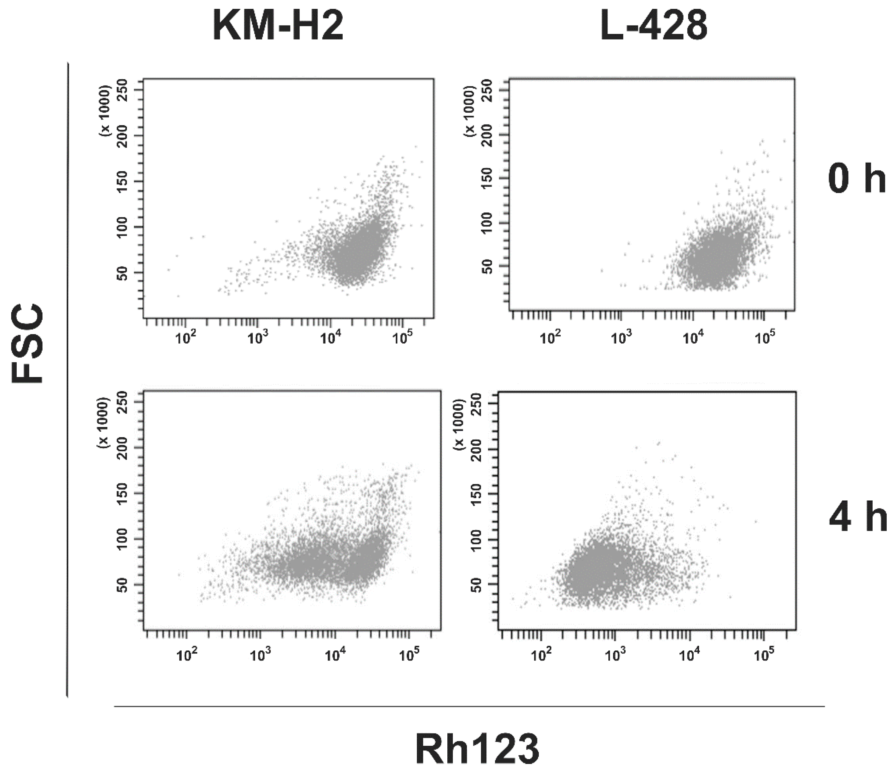 Ijms 22 00343 g005 Ijms 22 00343 g005