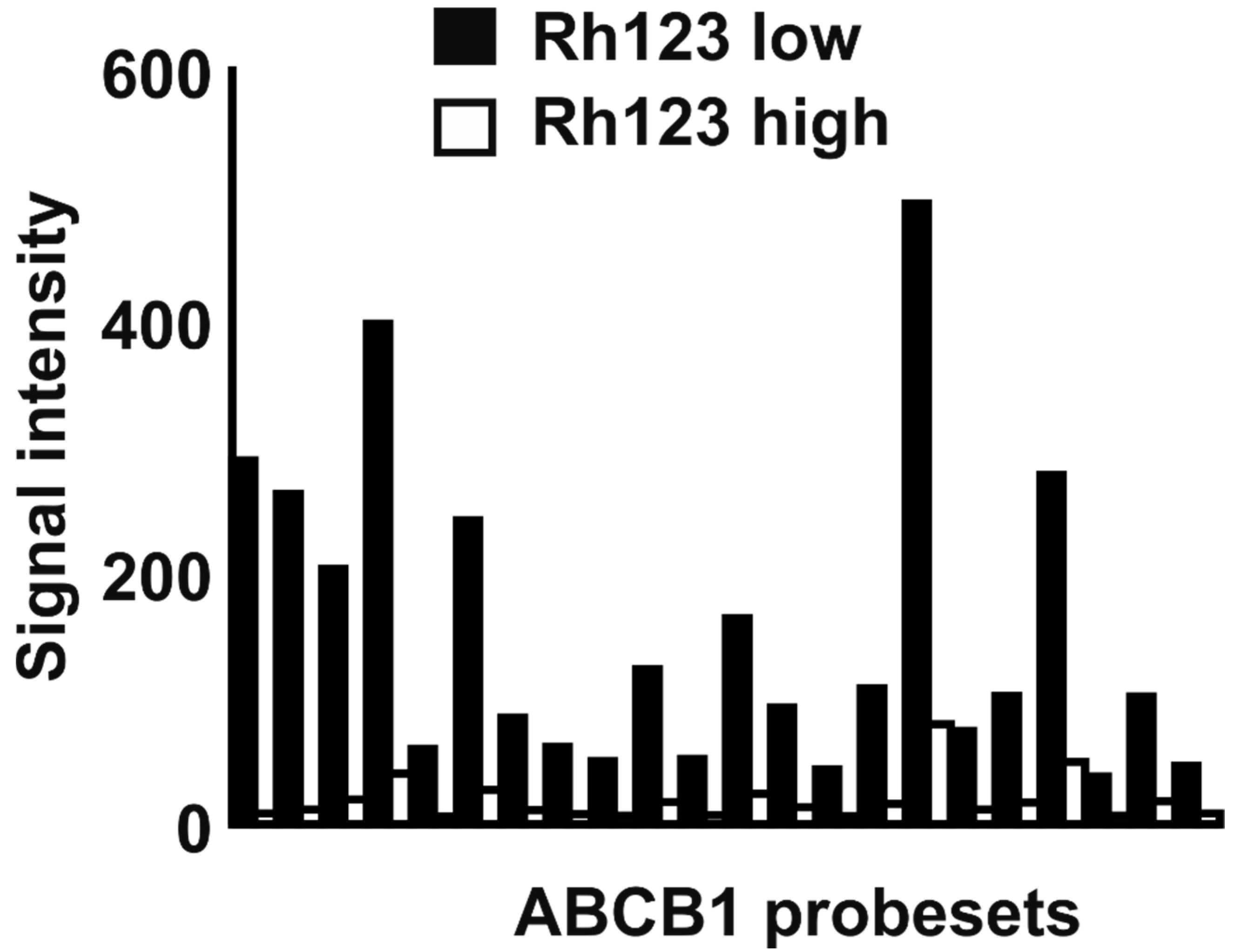 Ijms 22 00343 g006 Ijms 22 00343 g006