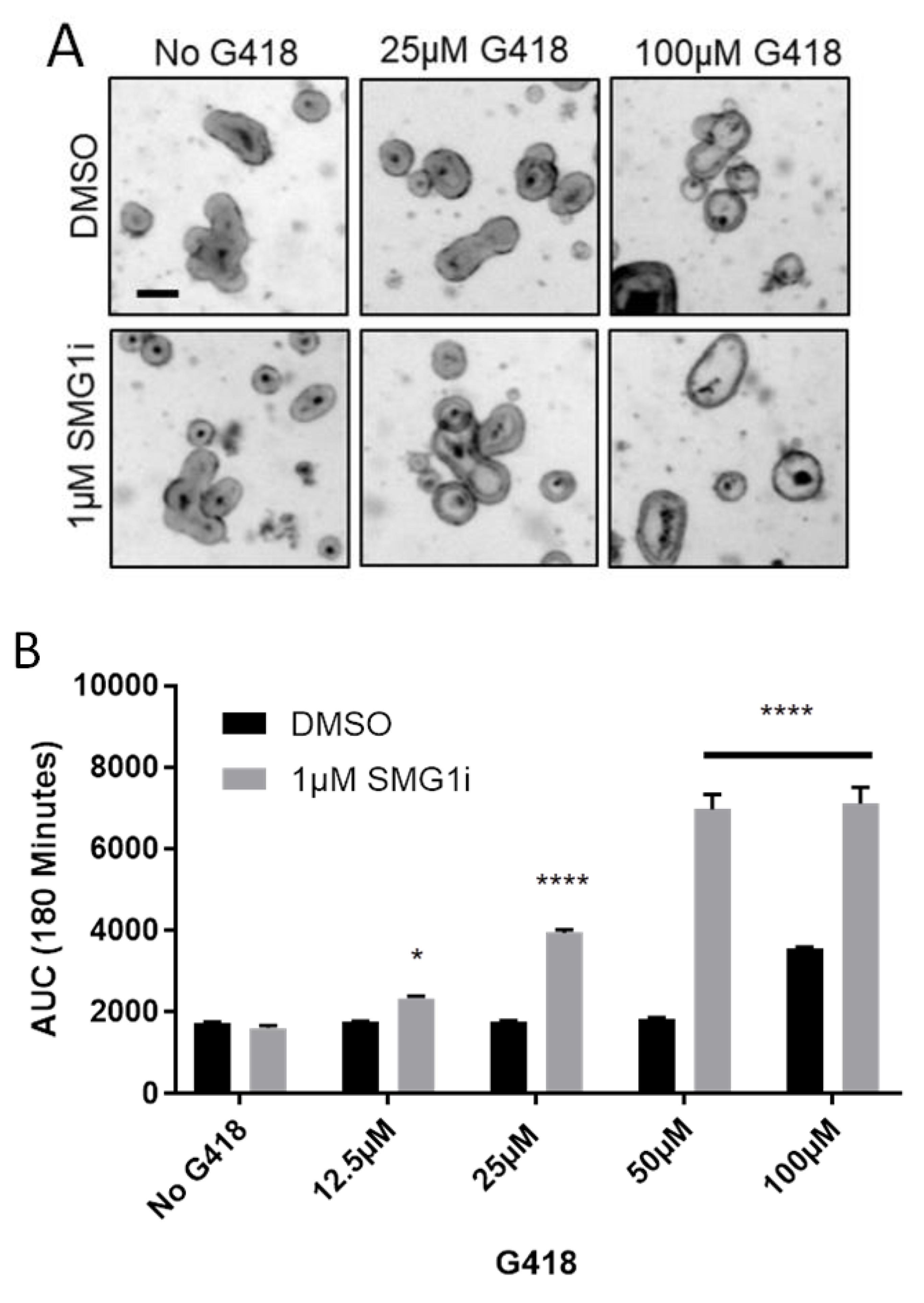 Ijms 22 00344 g003 Ijms 22 00344 g003