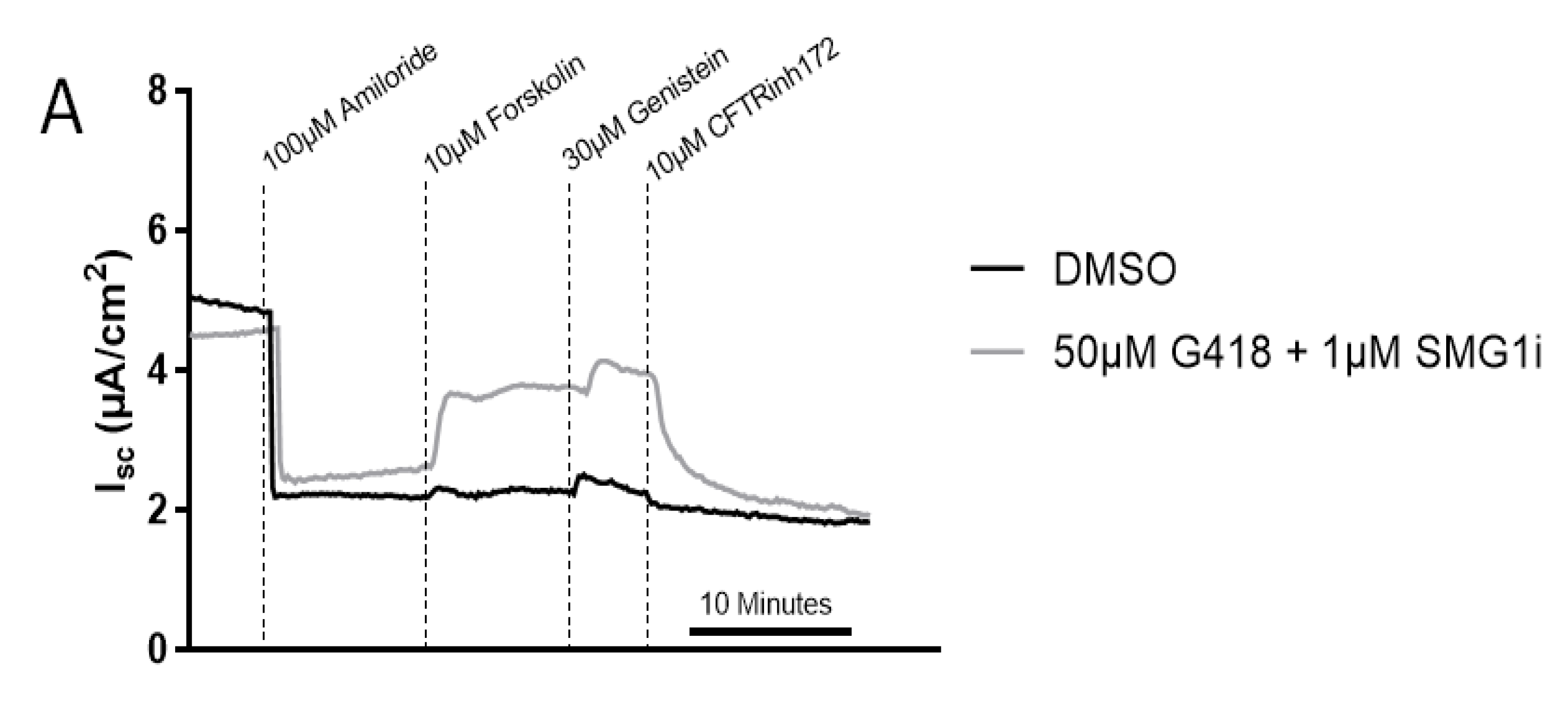 Ijms 22 00344 g005a Ijms 22 00344 g005a